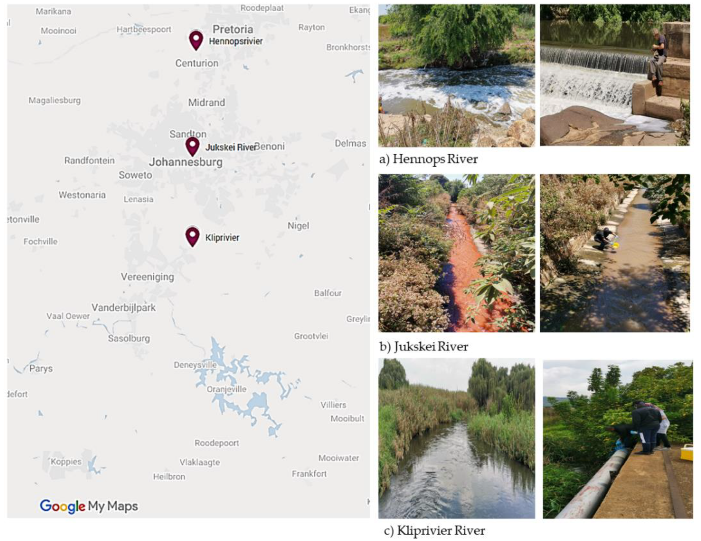 Microorganisms 09 02163 g001