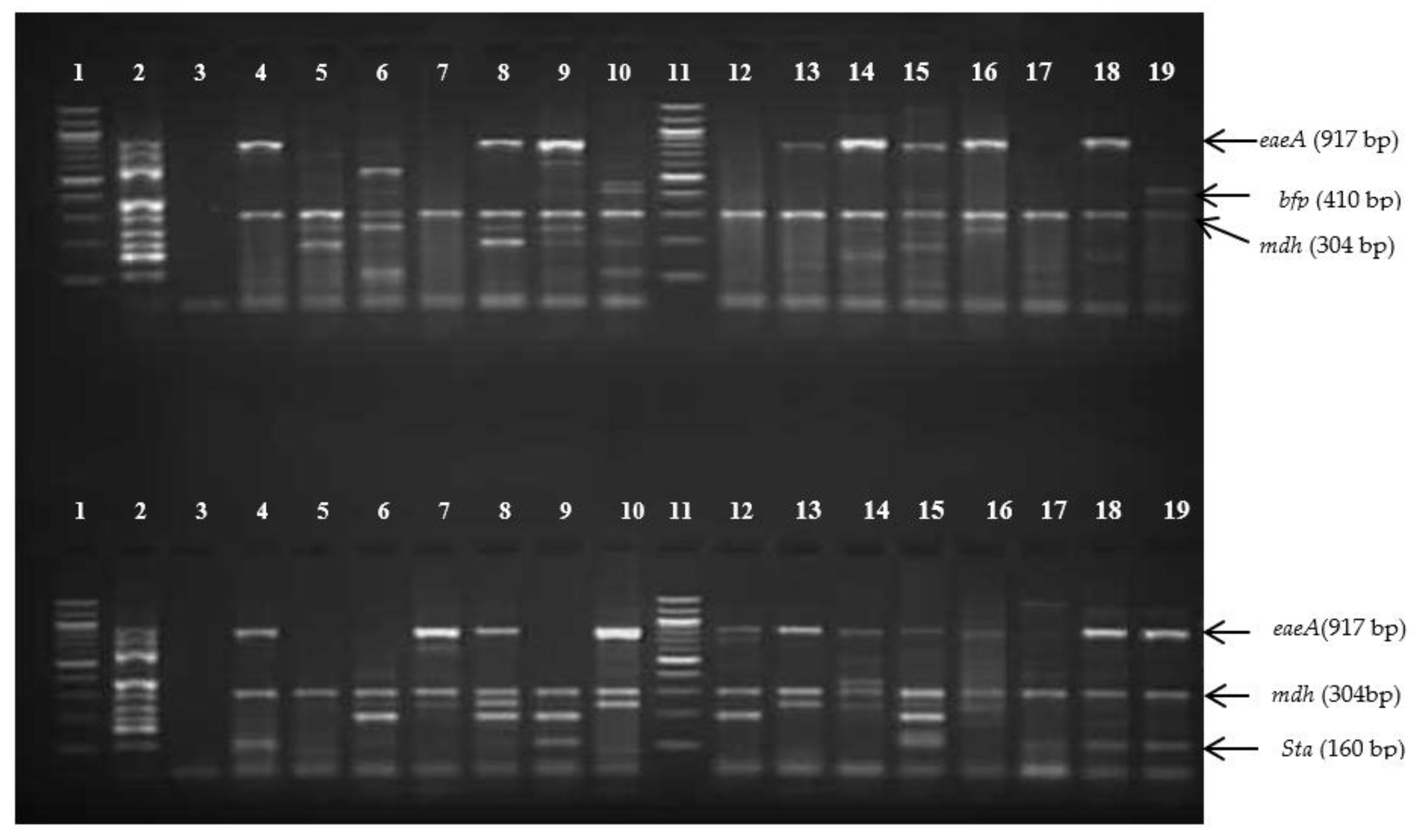 Microorganisms 09 02163 g002