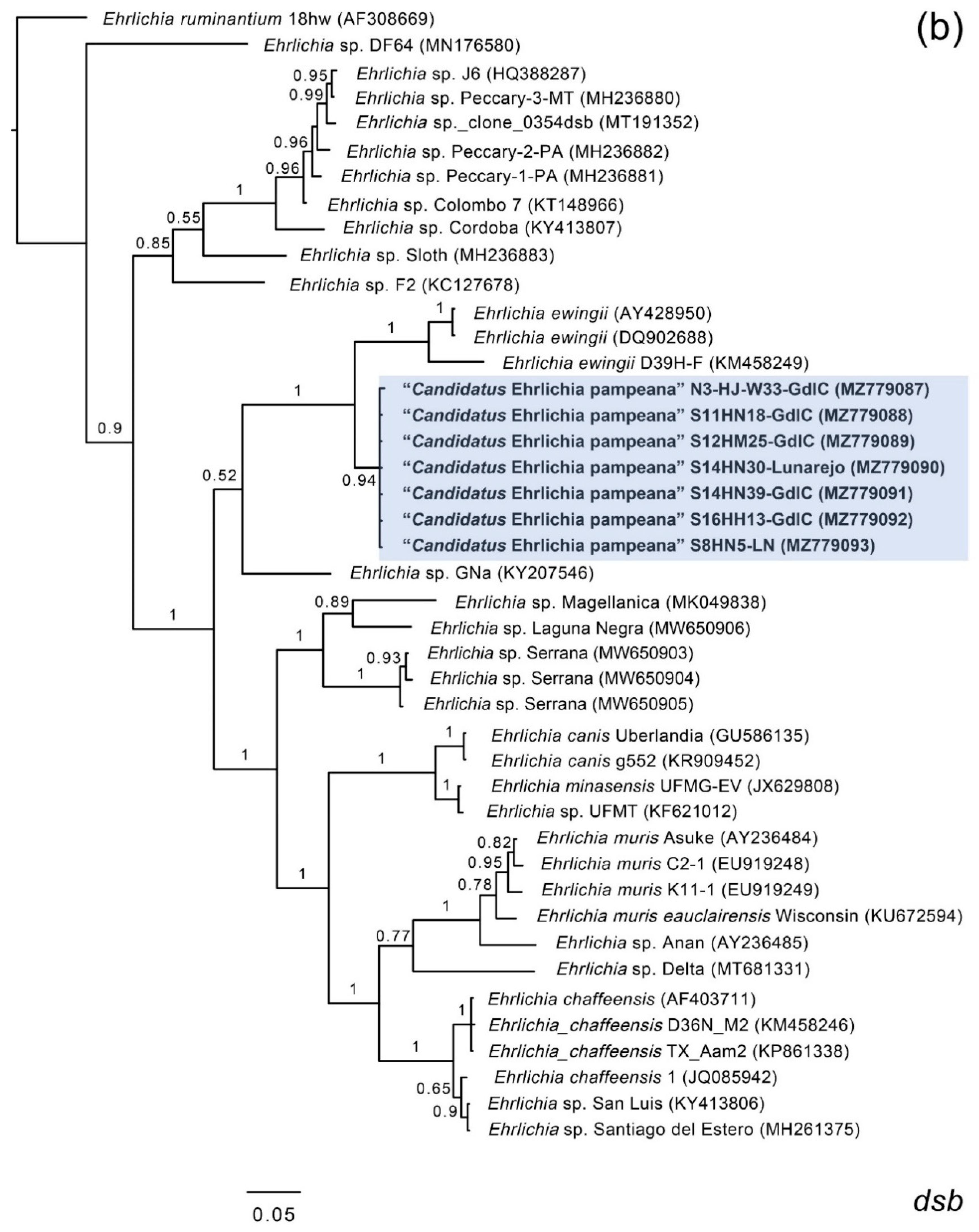 Microorganisms 09 02165 g001b 550