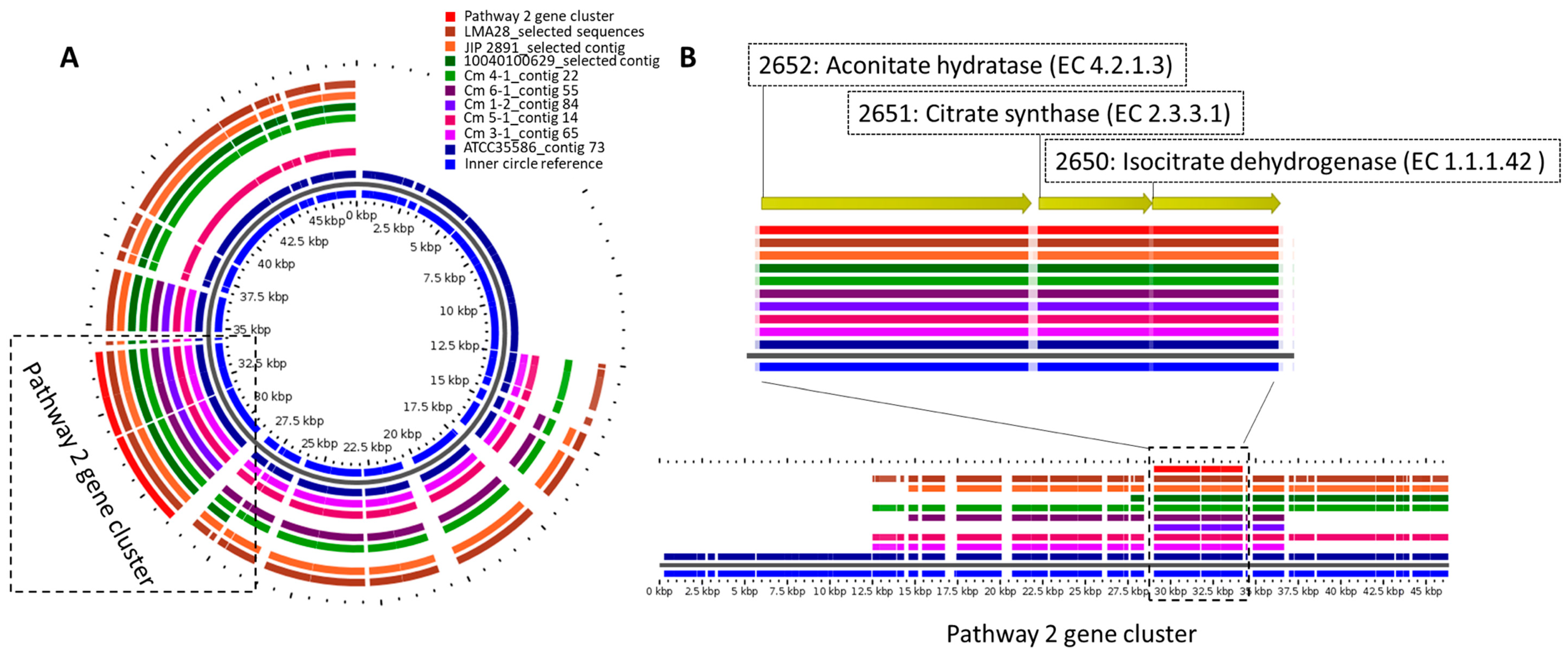 Microorganisms 09 02169 g002 Microorganisms 09 02169 g002