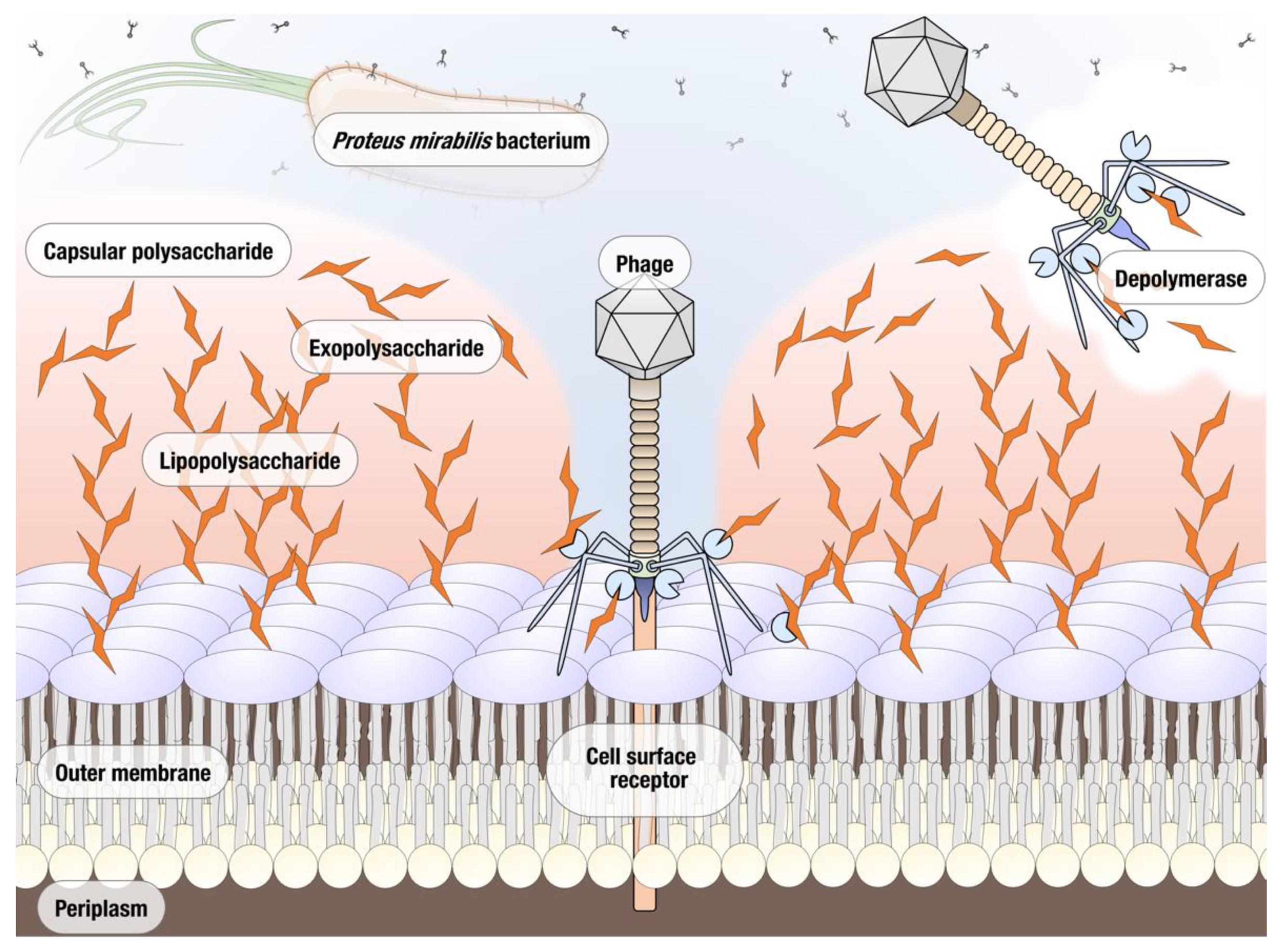 Microorganisms 09 02172 g001