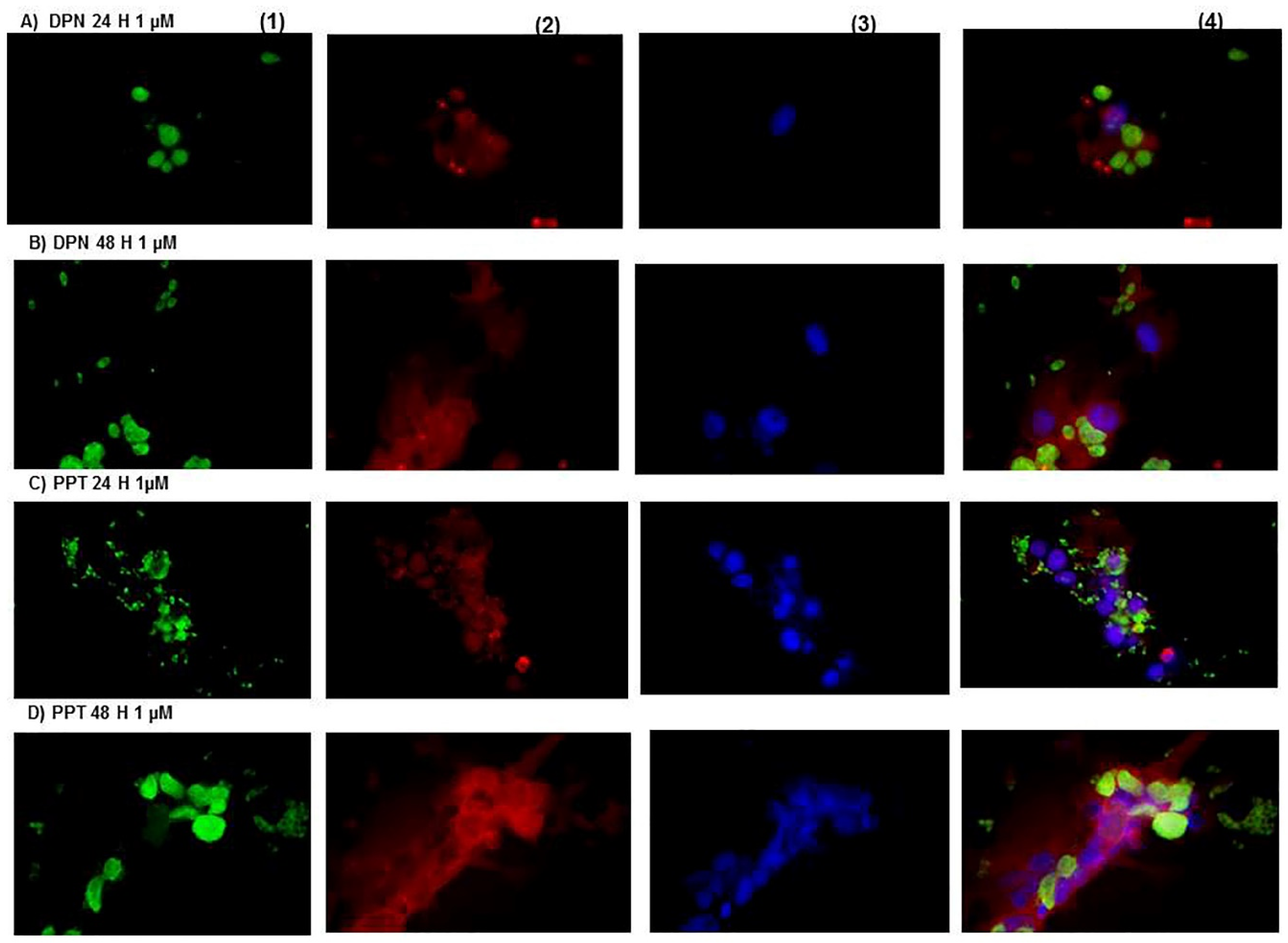 Microorganisms 09 02174 g003