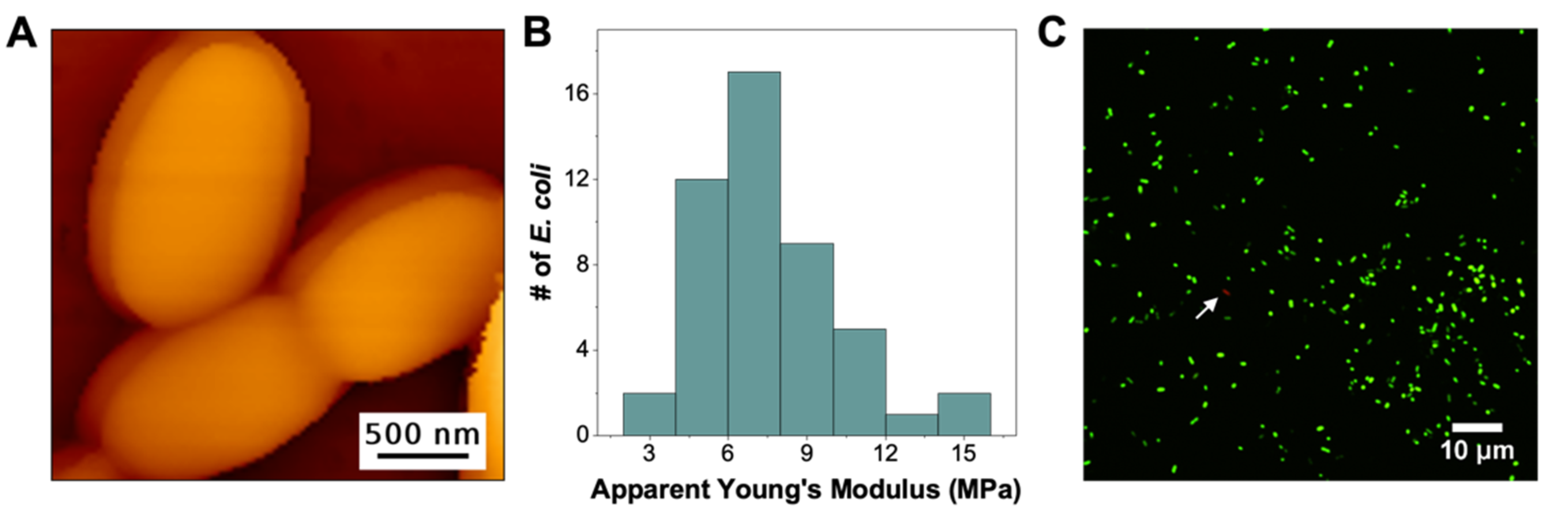 Microorganisms 09 02176 g001