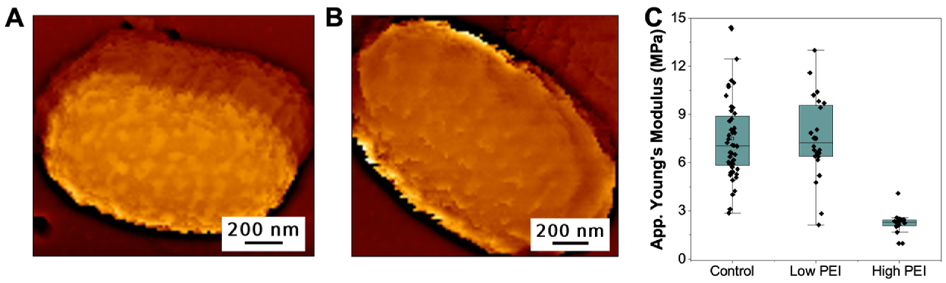Microorganisms 09 02176 g002