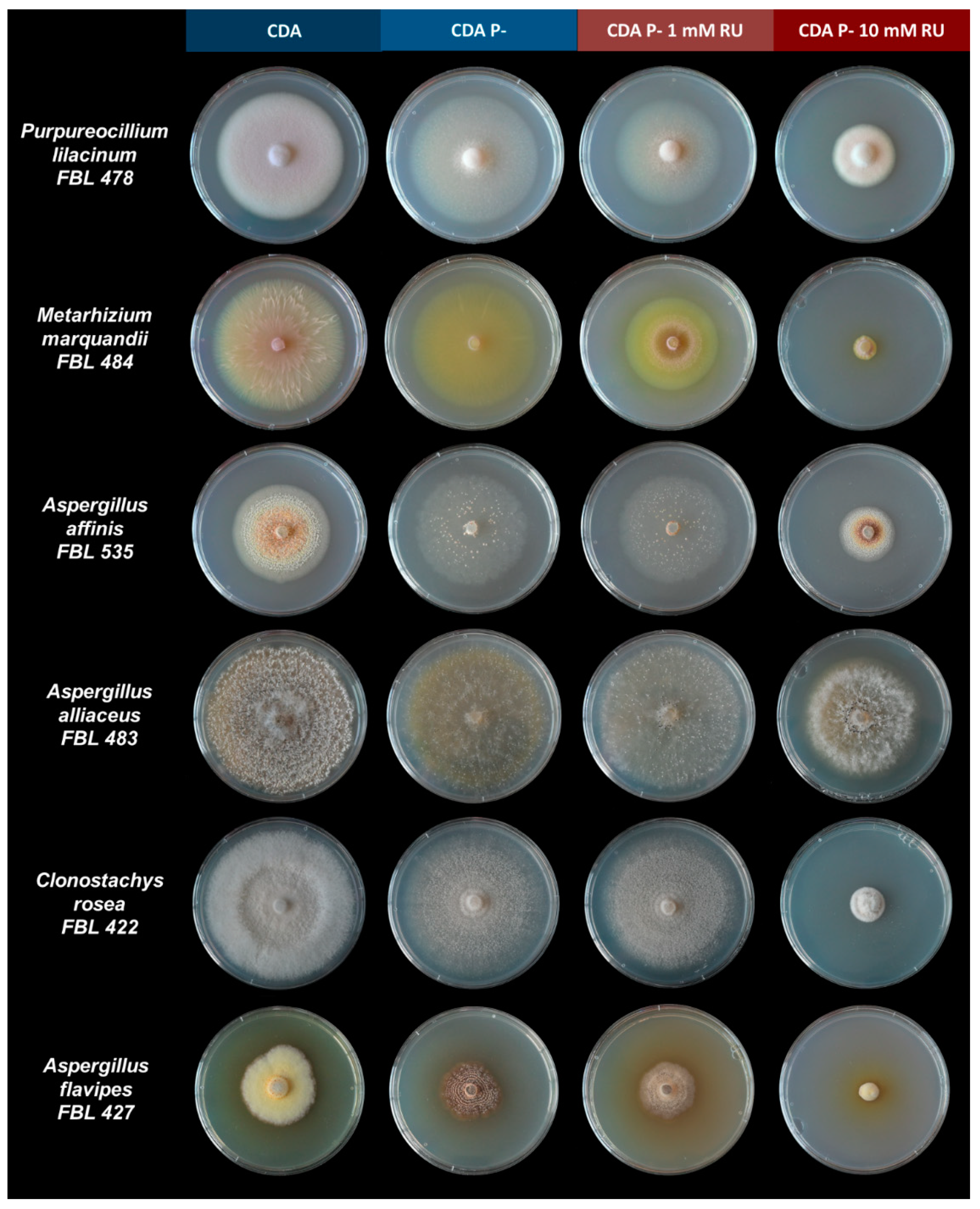Microorganisms 09 02179 g001