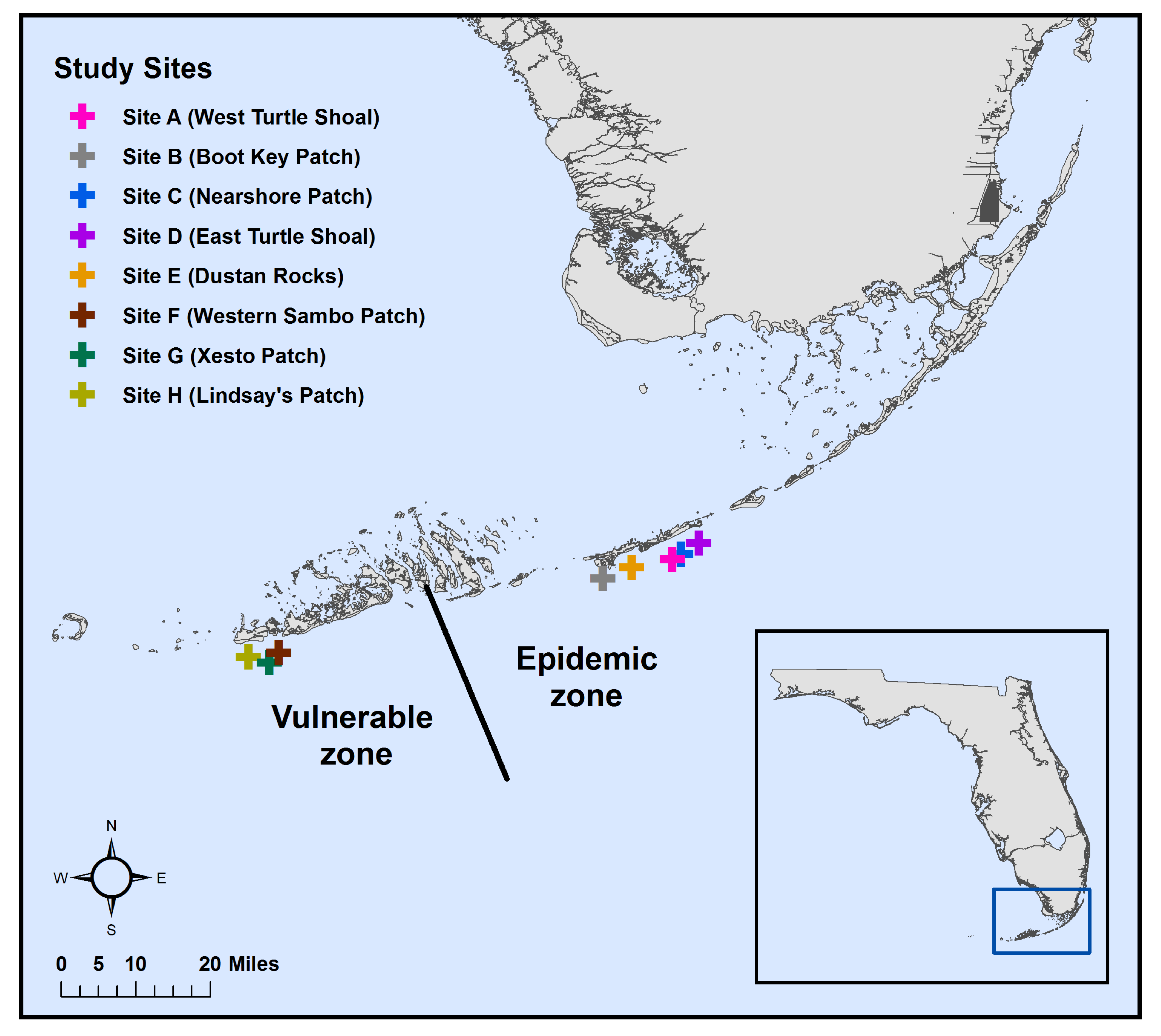 Microorganisms 09 02181 g001