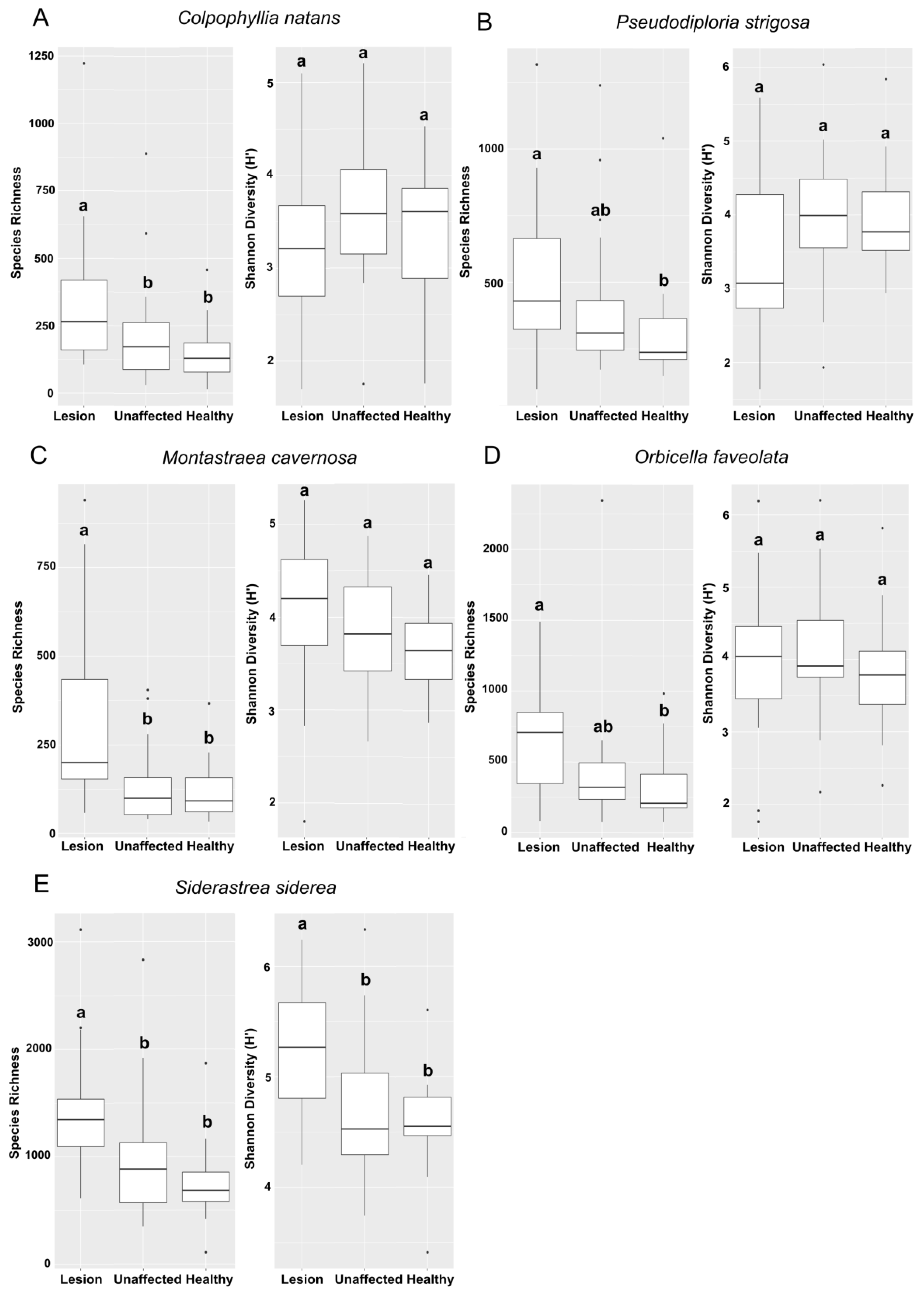 Microorganisms 09 02181 g005