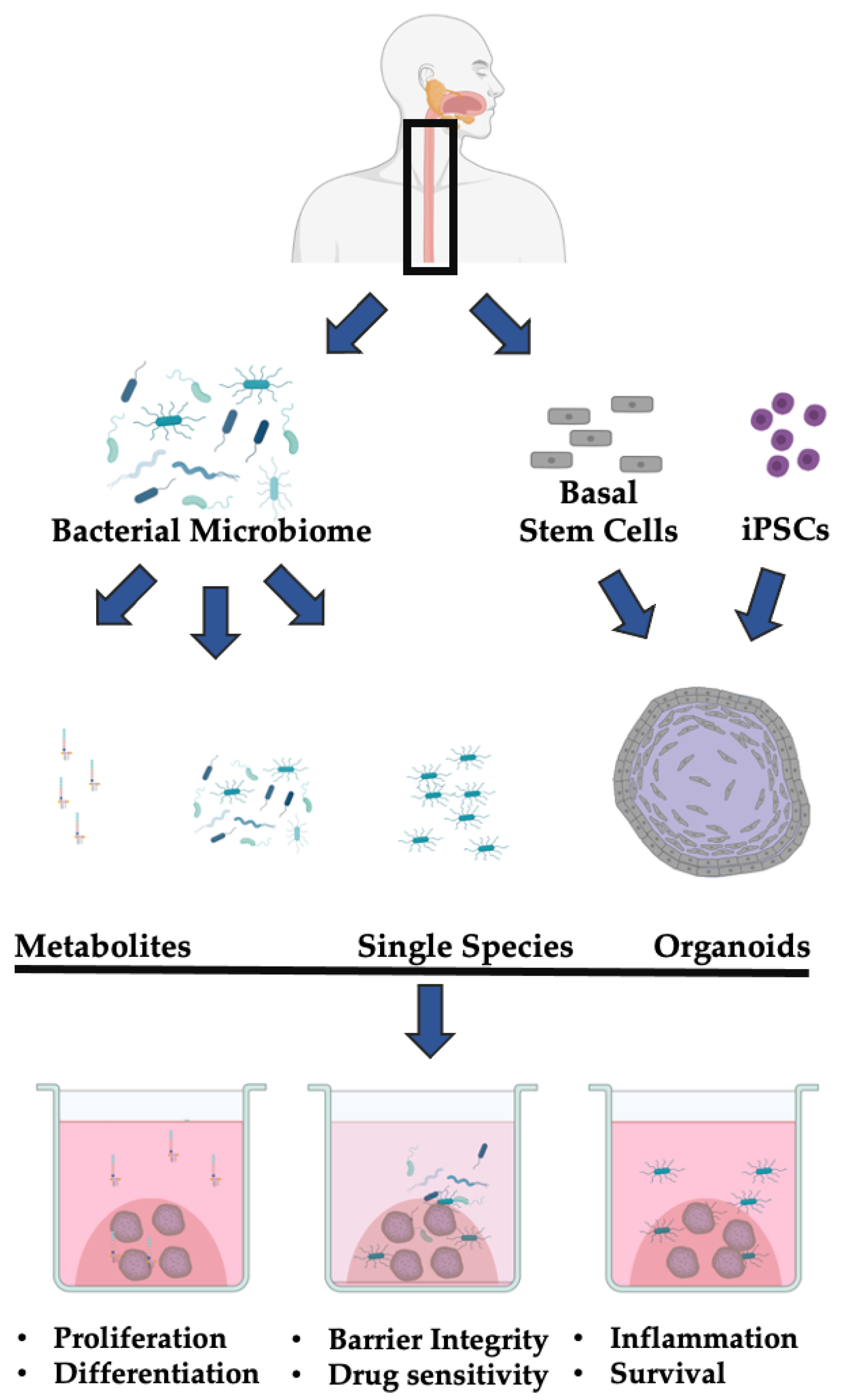 Microorganisms 09 02182 g001