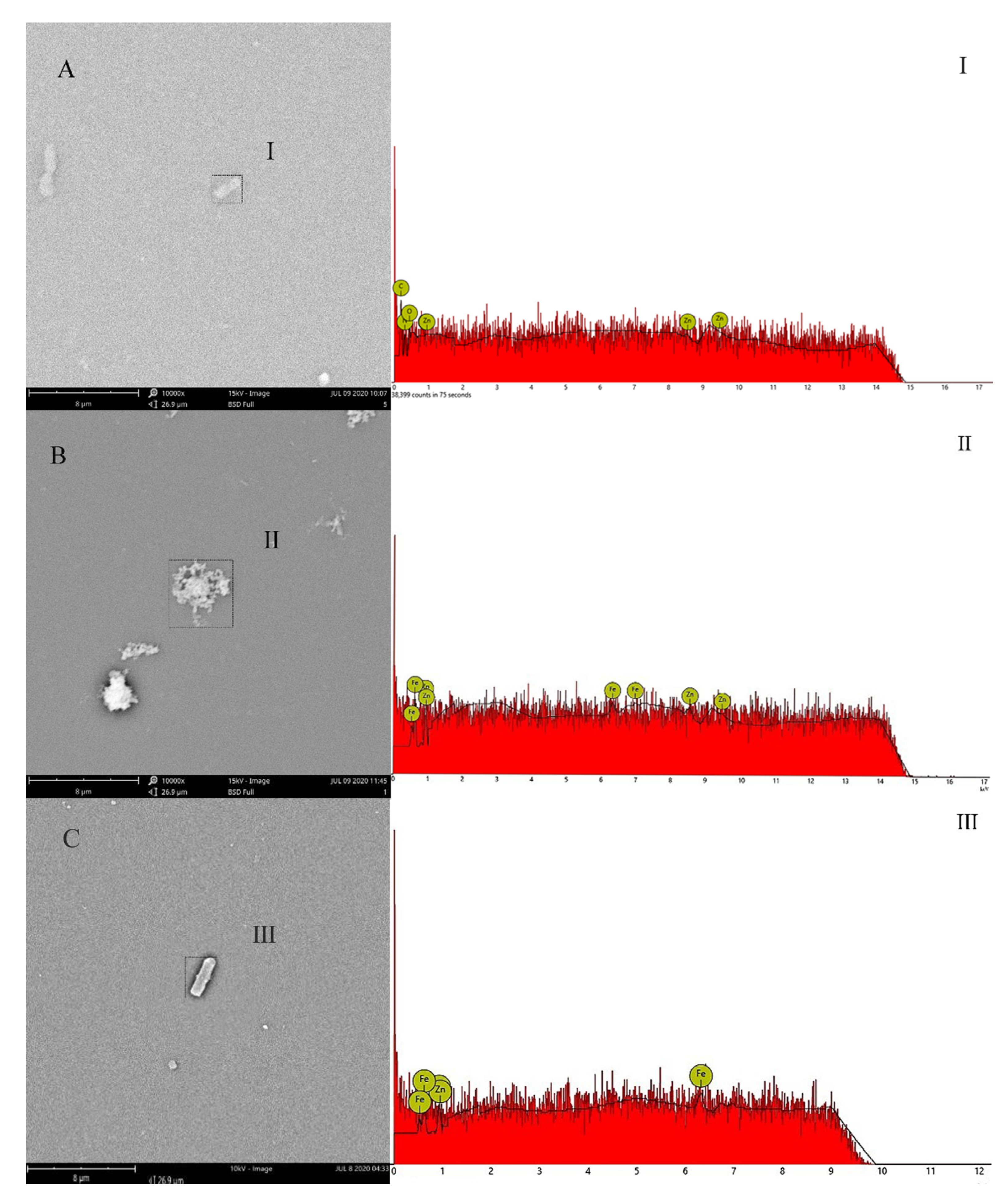 Microorganisms 09 02189 g005