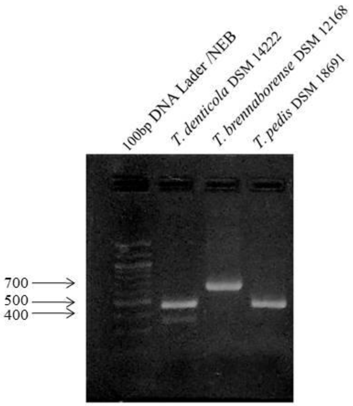 Microorganisms 09 02190 g001 Microorganisms 09 02190 g001