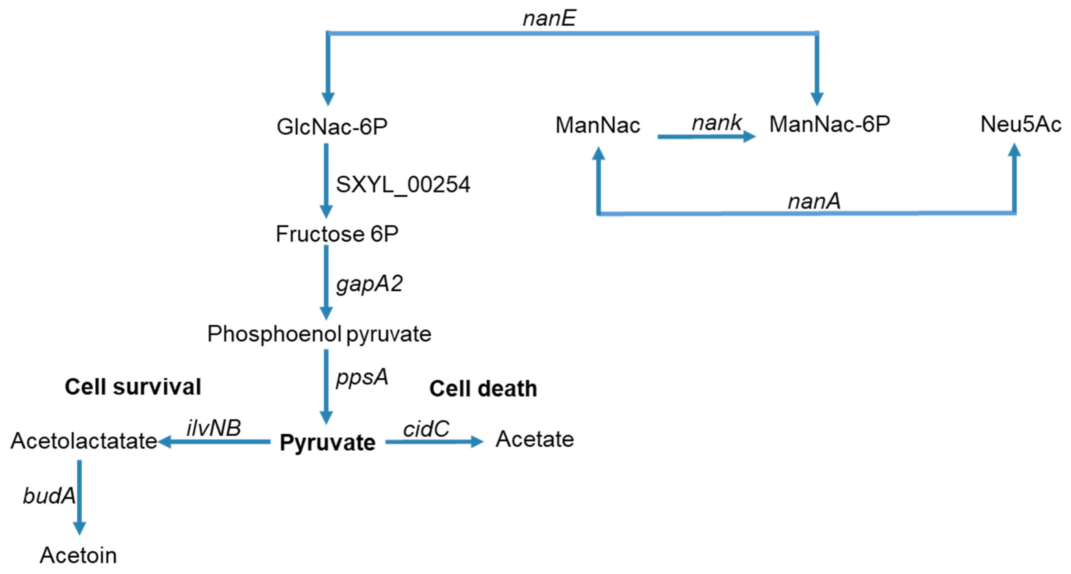 Microorganisms 09 02192 g004 550