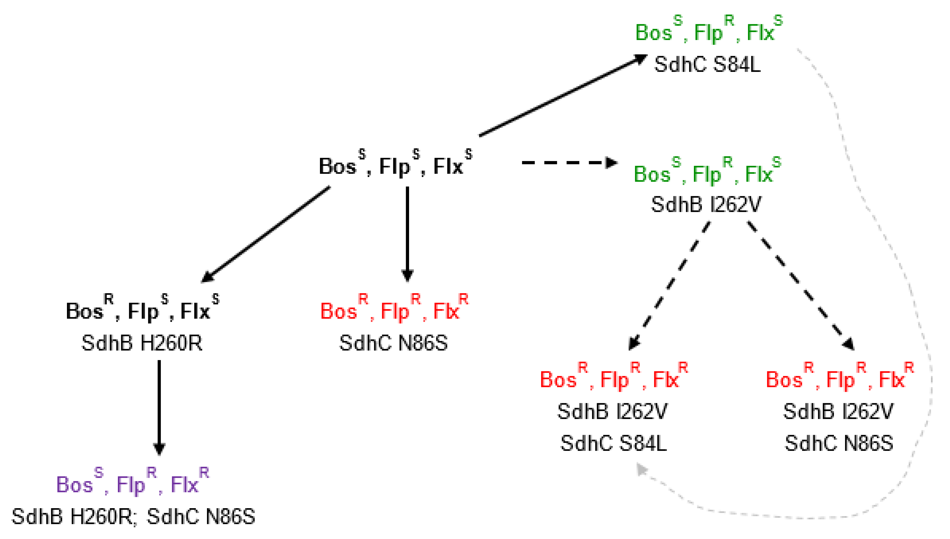 Microorganisms 09 02198 g002 550