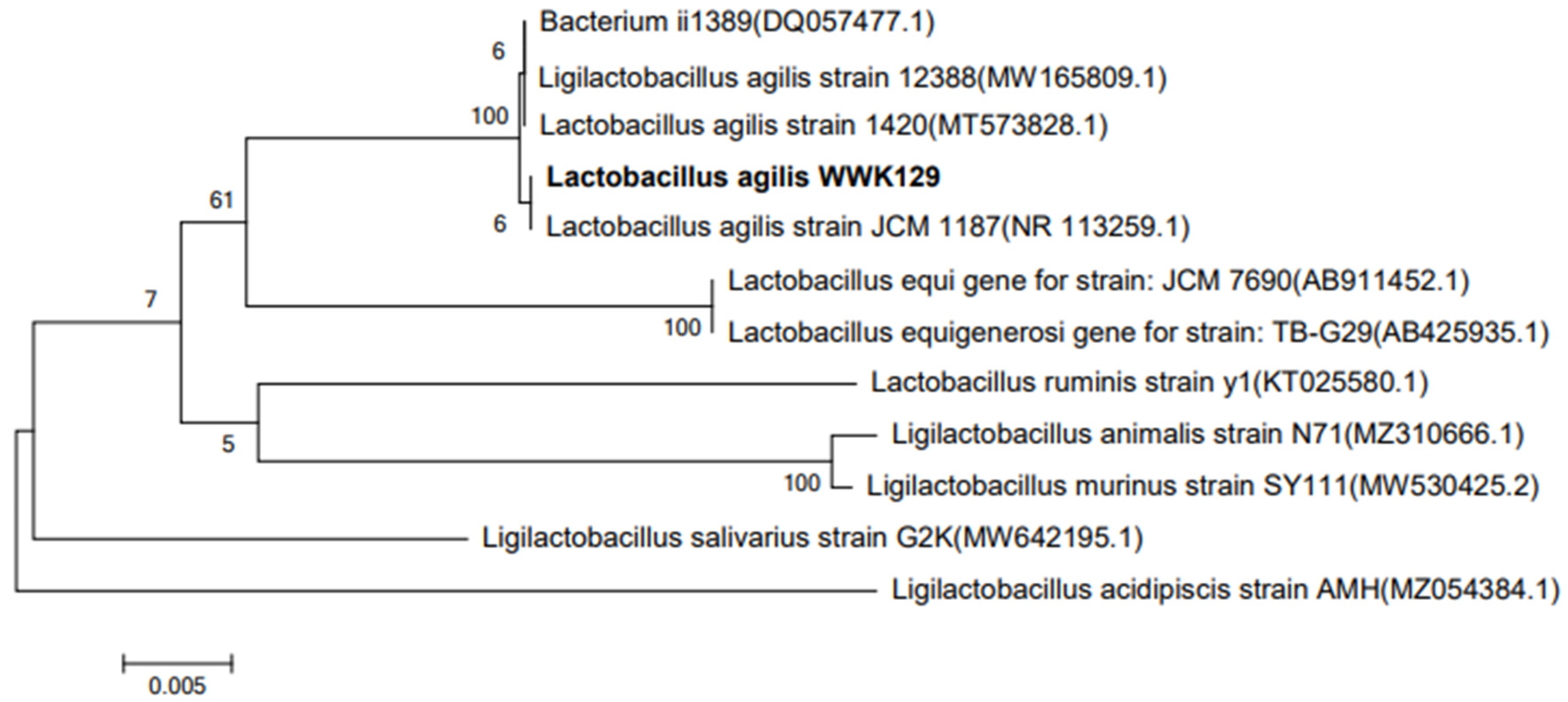 Microorganisms 09 02200 g004
