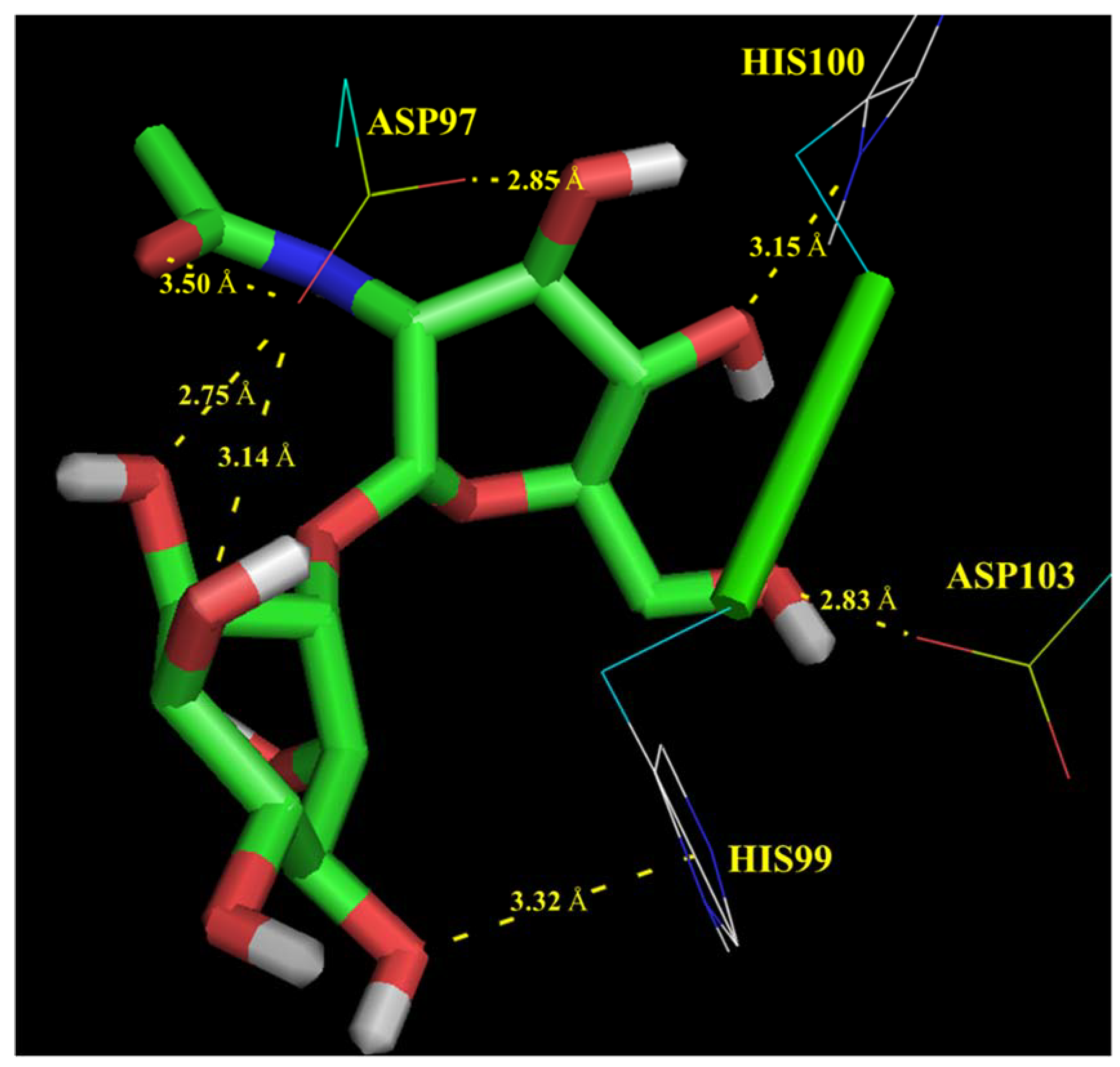 Unraveling the functional dark matter through global metagenomics