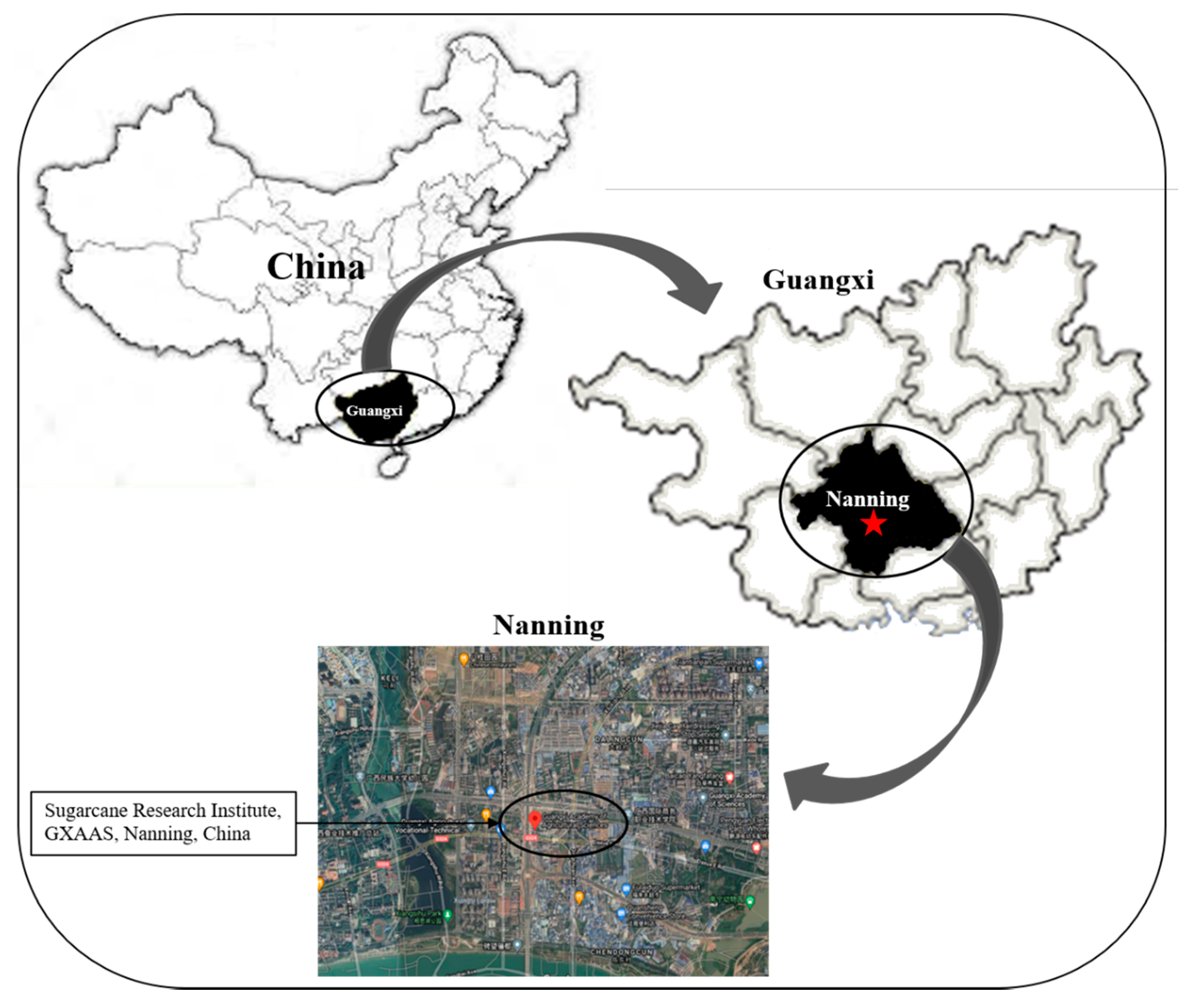 Microorganisms 09 02203 g001