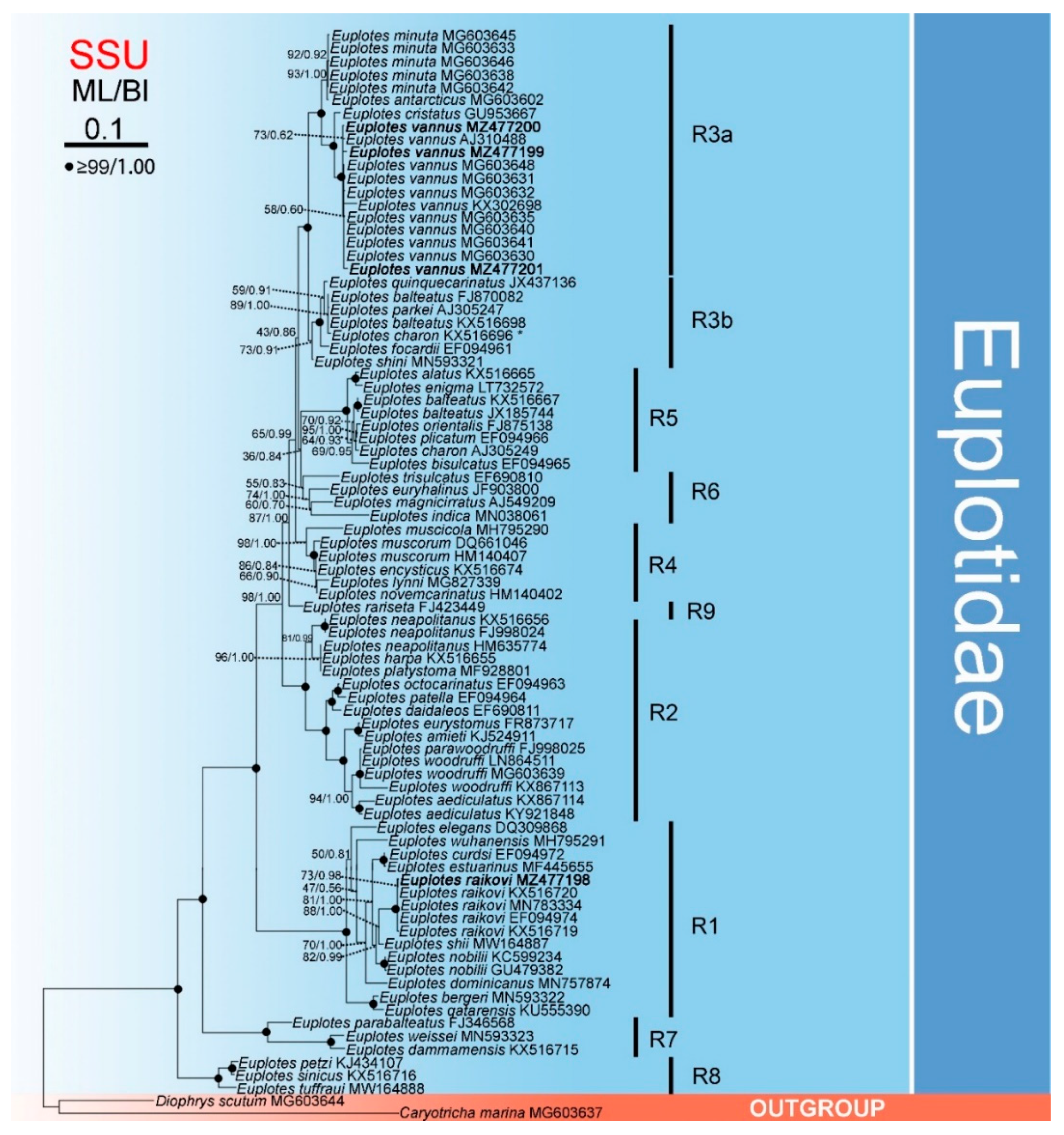 Microorganisms 09 02204 g002 Microorganisms 09 02204 g002
