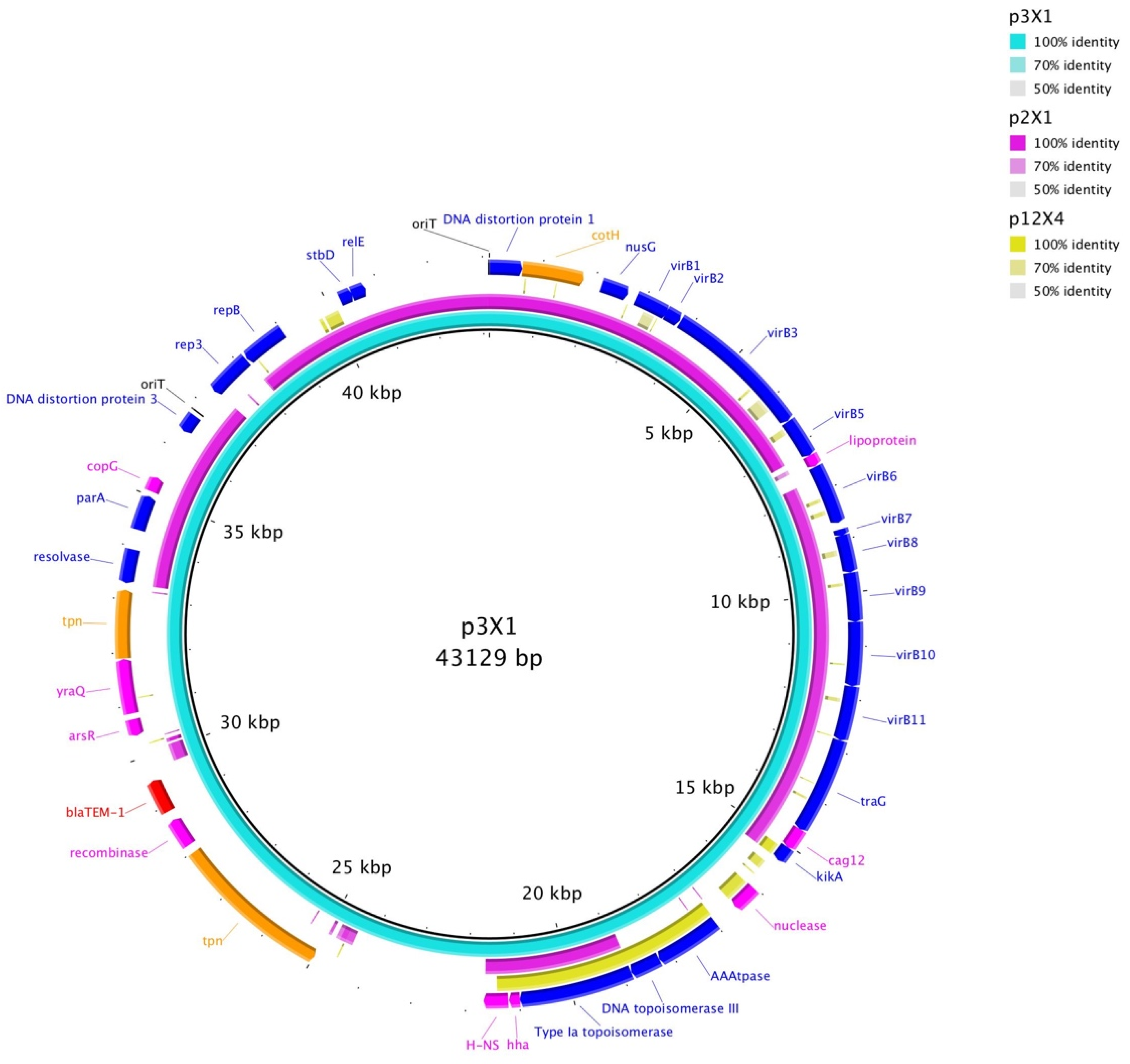 Microorganisms 09 02205 g001 550