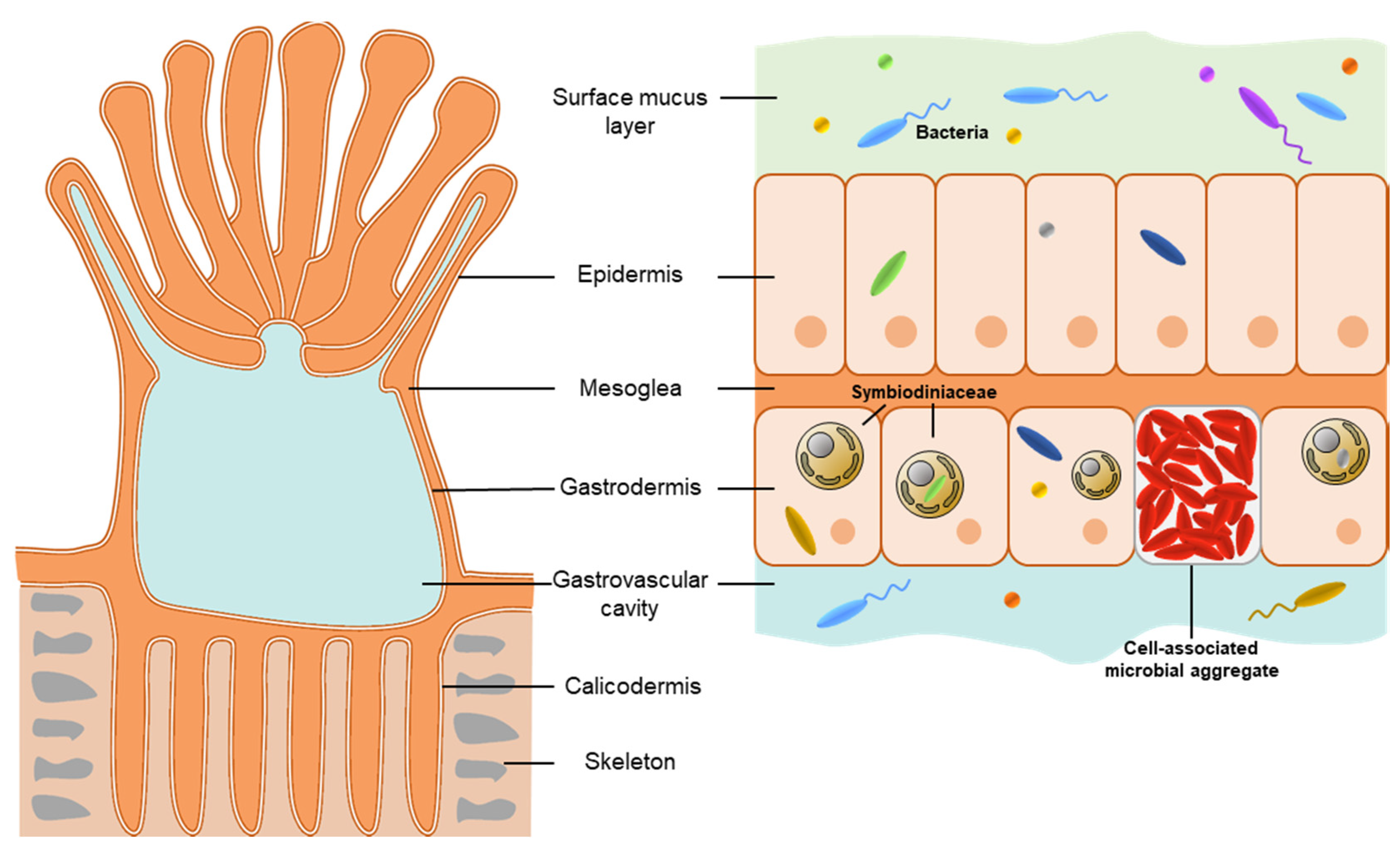 Microorganisms 09 02209 g001
