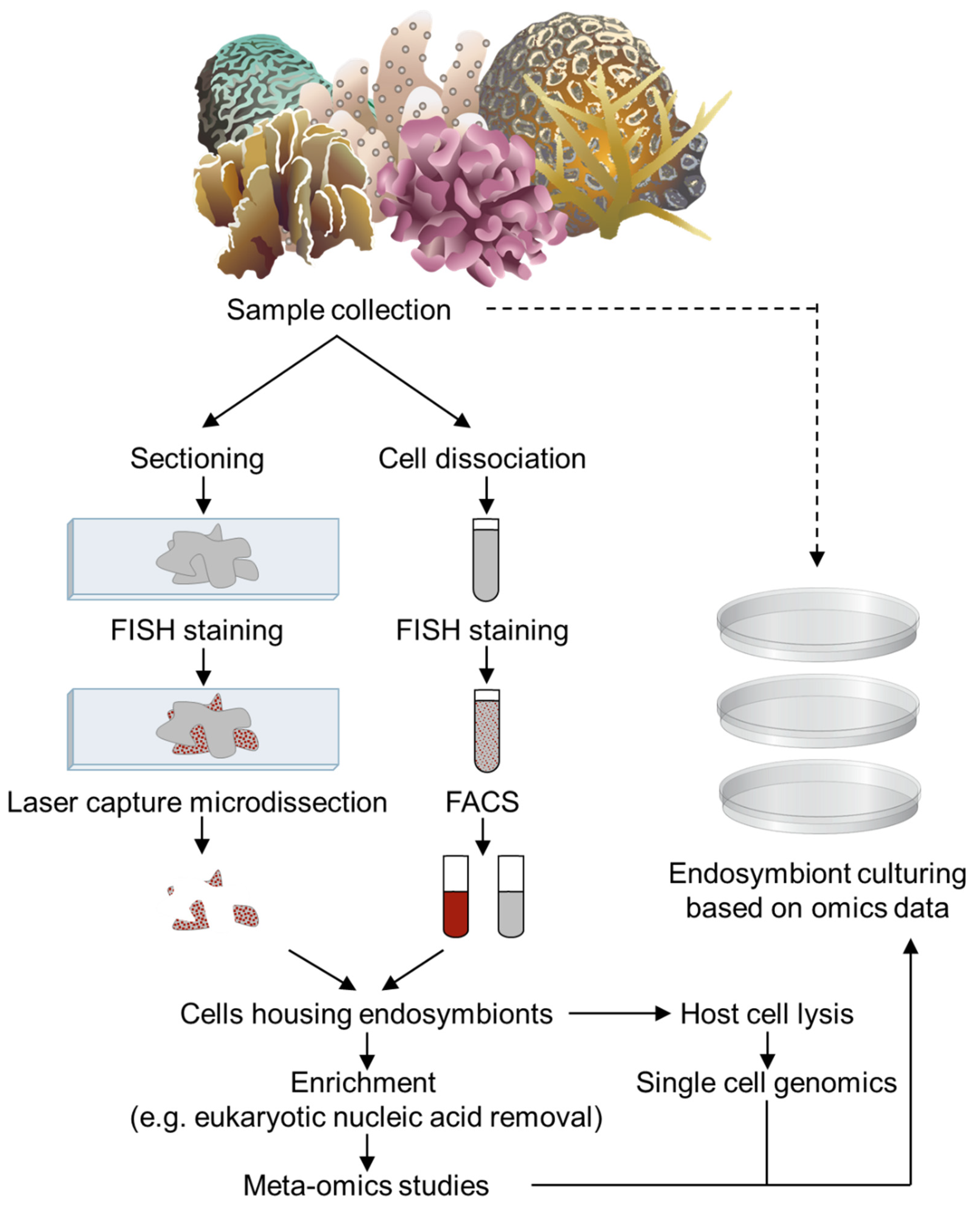 Microorganisms 09 02209 g003