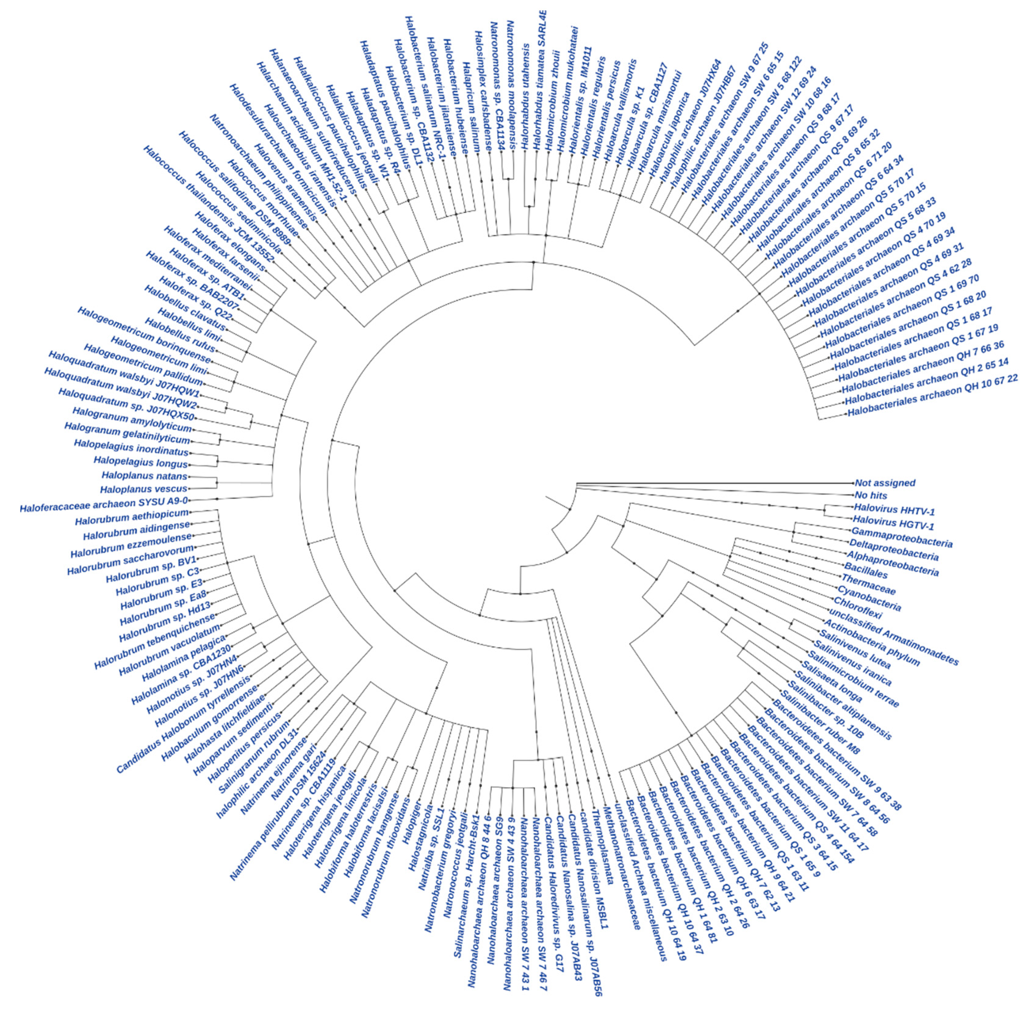 Microorganisms 09 02211 g004 Microorganisms 09 02211 g004
