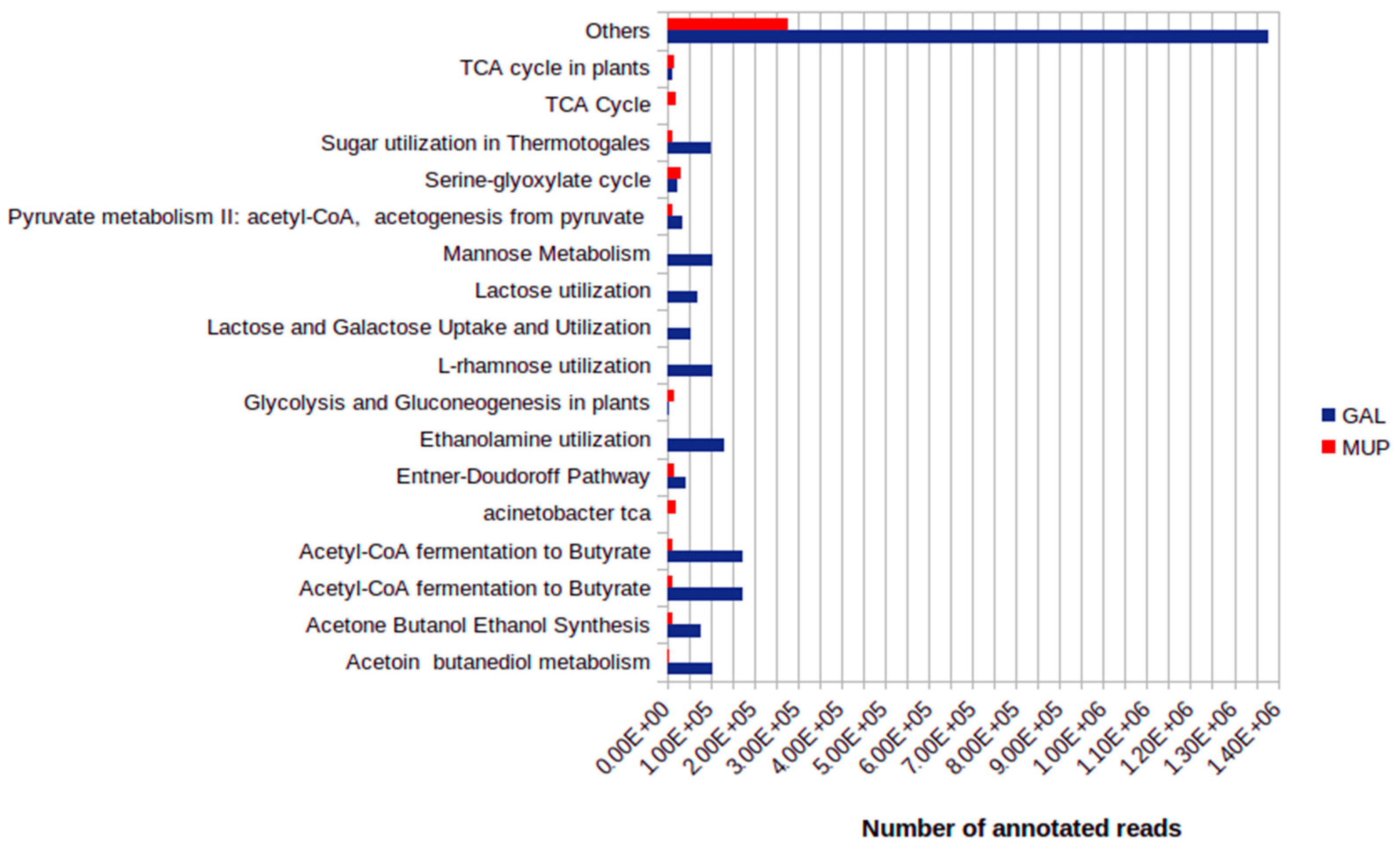 Microorganisms 09 02211 g005 Microorganisms 09 02211 g005