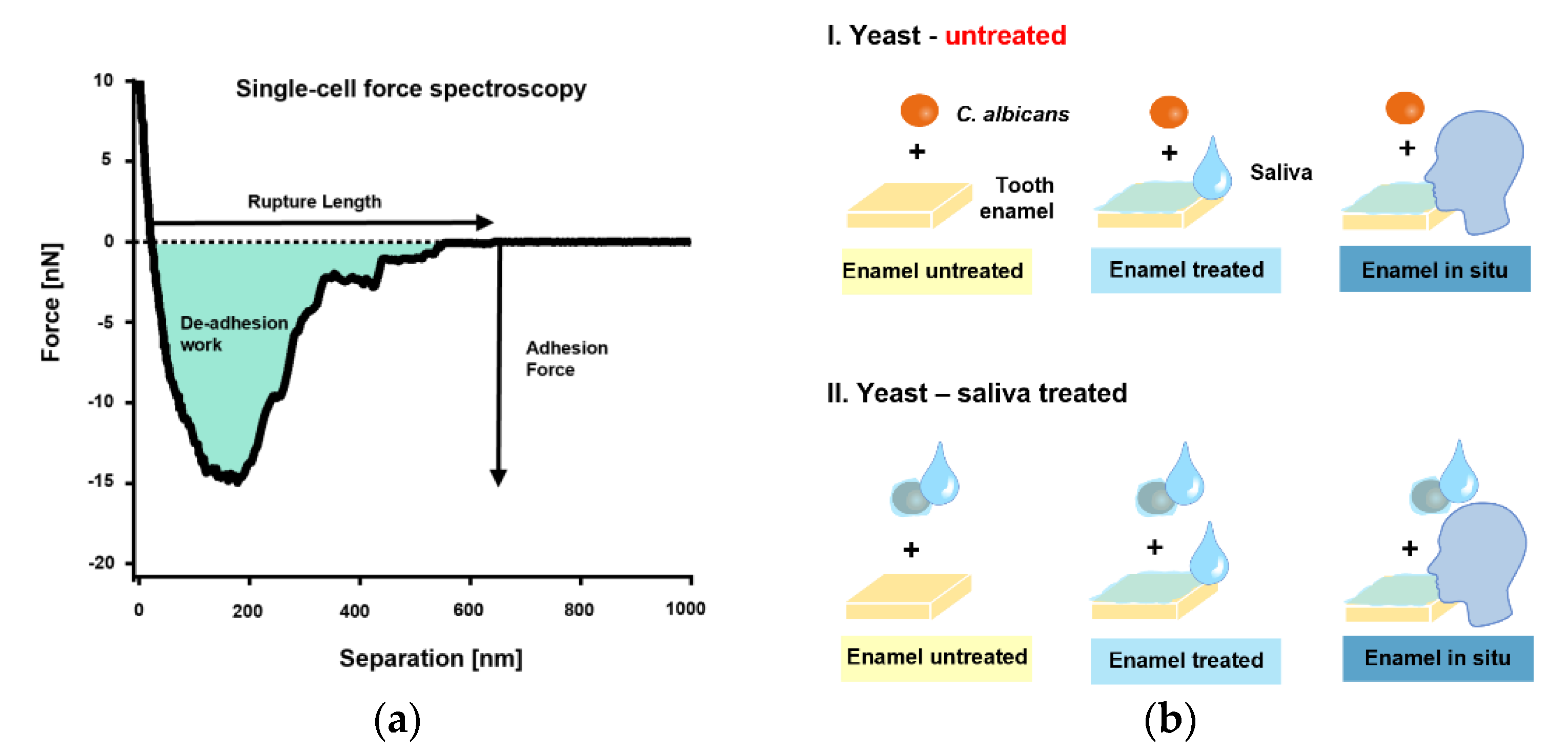Microorganisms 09 02213 g002 550