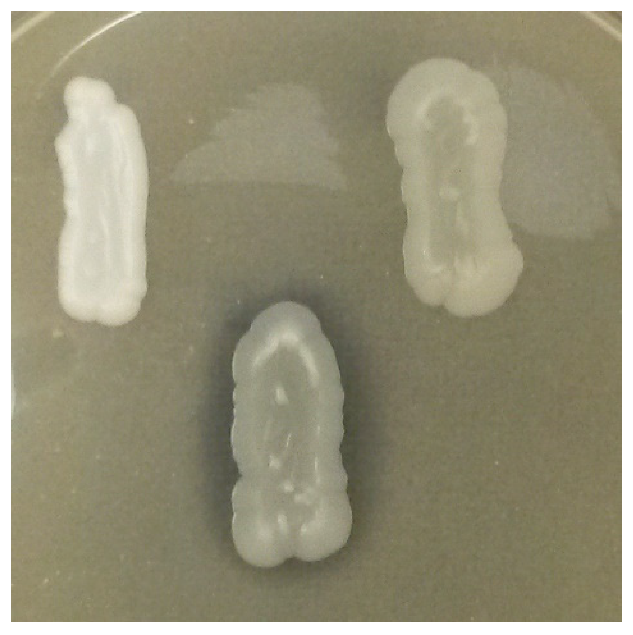 Microorganisms 09 02223 g004