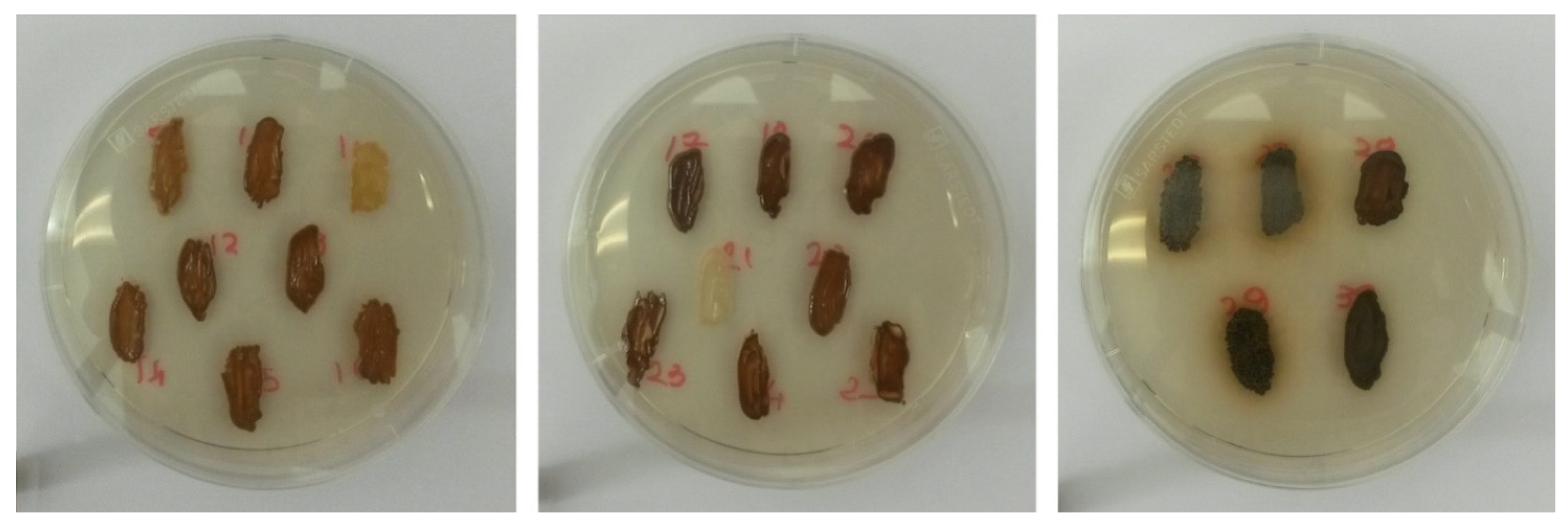 Microorganisms 09 02223 g005