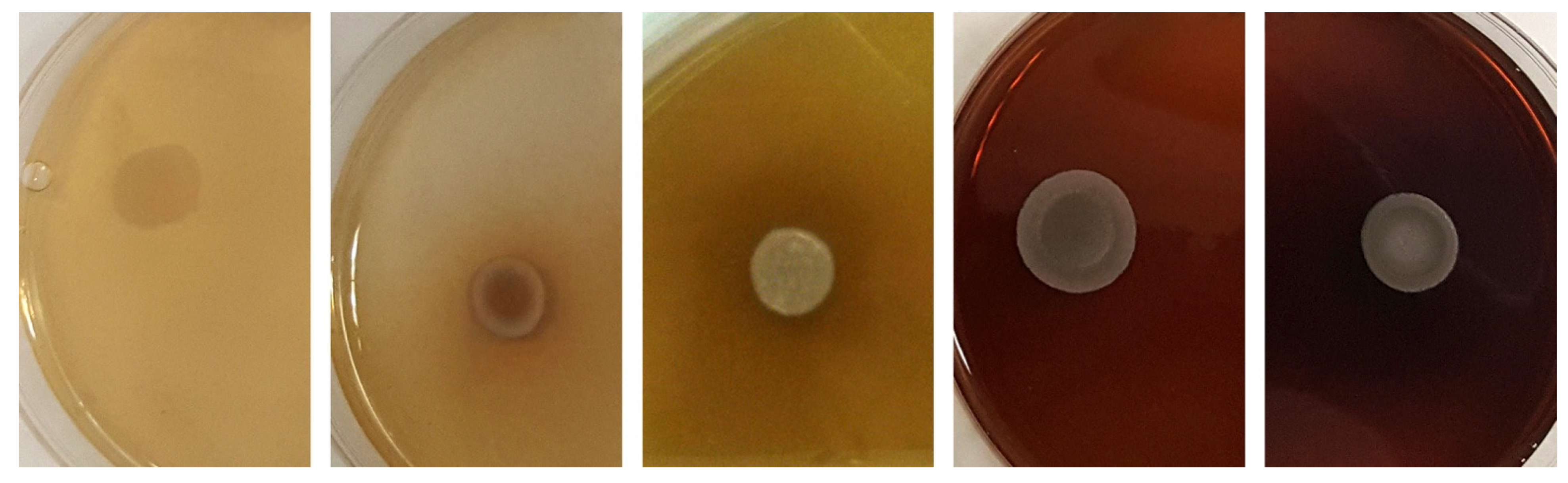 Microorganisms 09 02223 g006