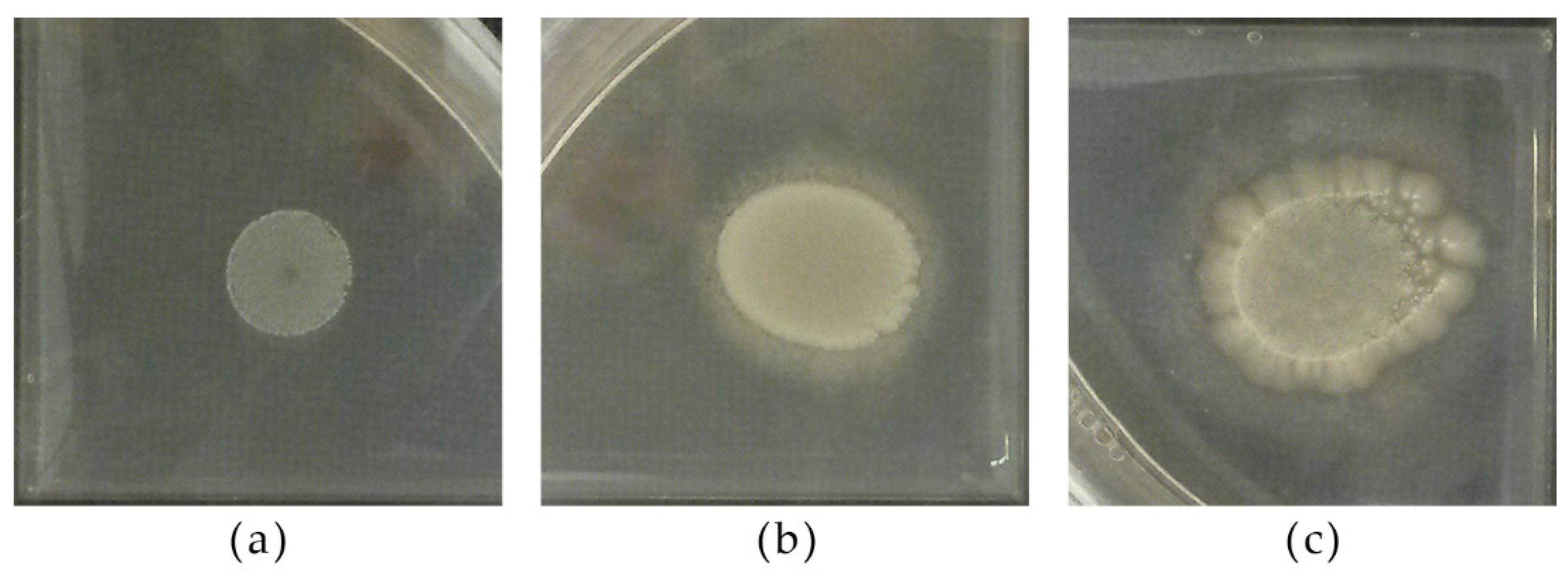 Microorganisms 09 02223 g008