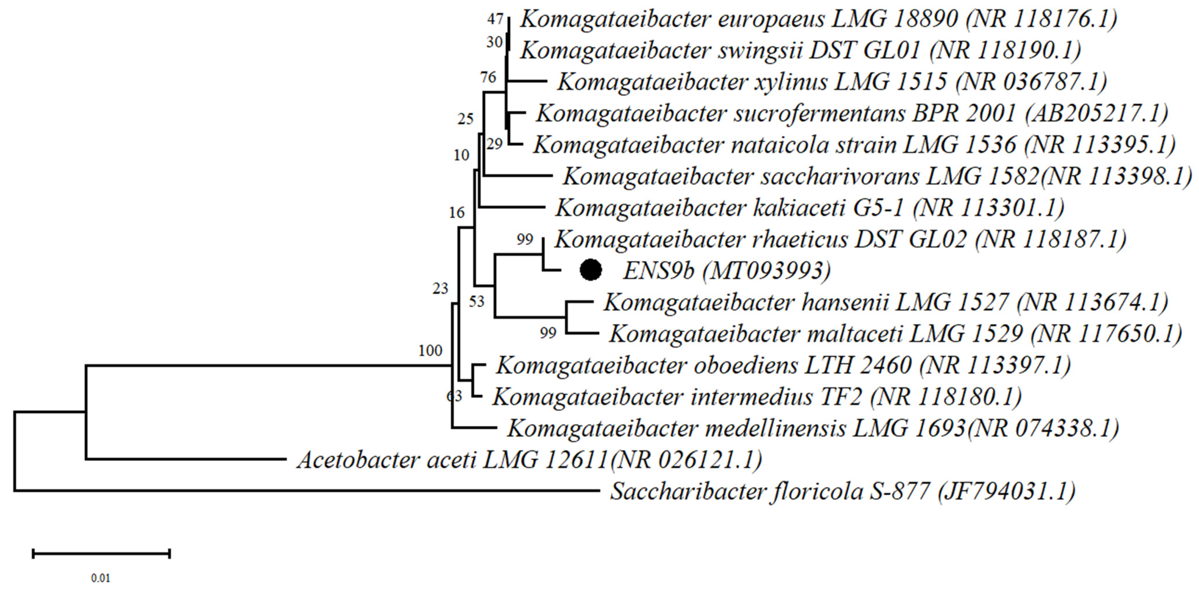 Microorganisms 09 02230 g001