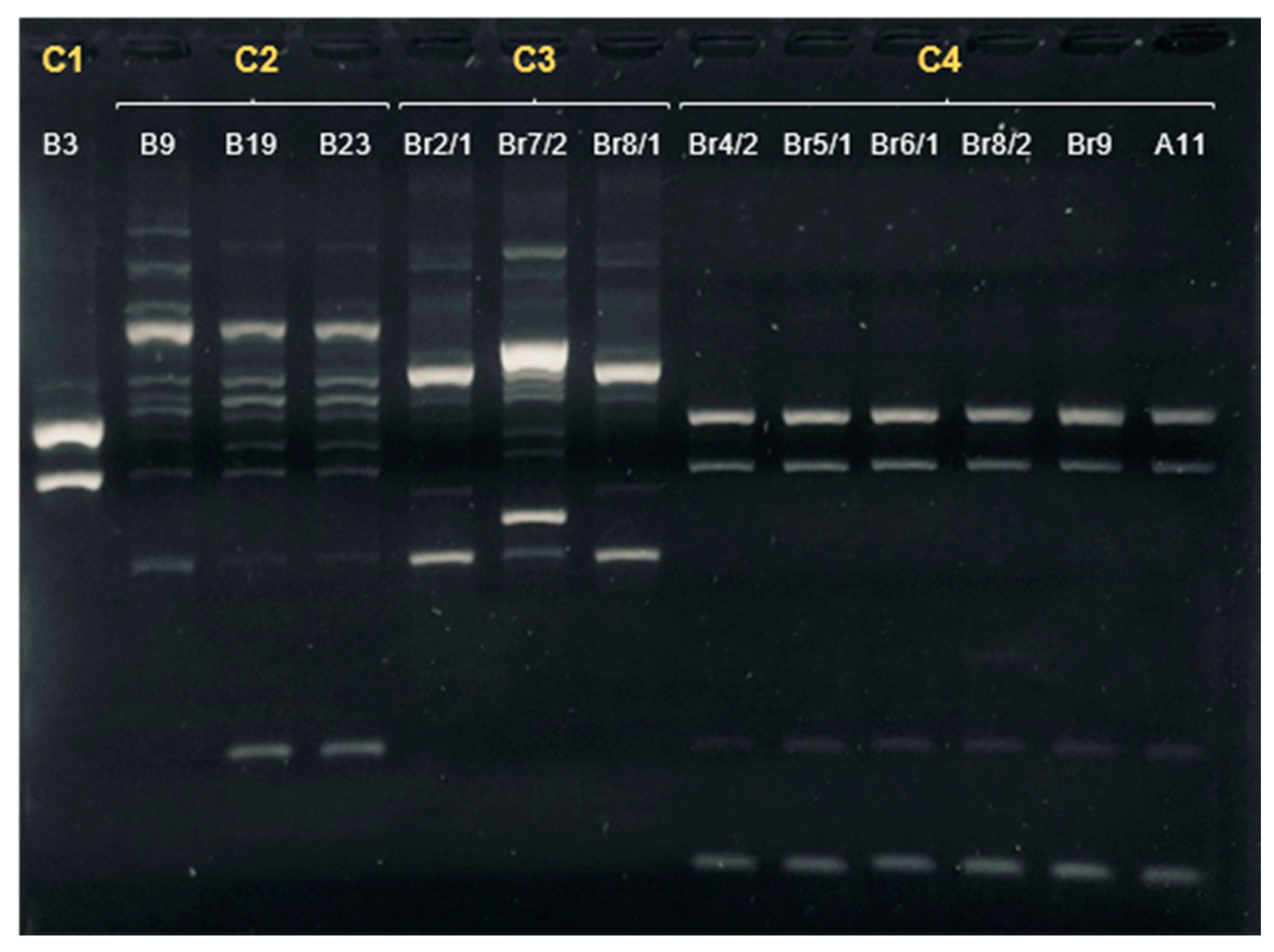 Microorganisms 09 02231 g001 Microorganisms 09 02231 g001