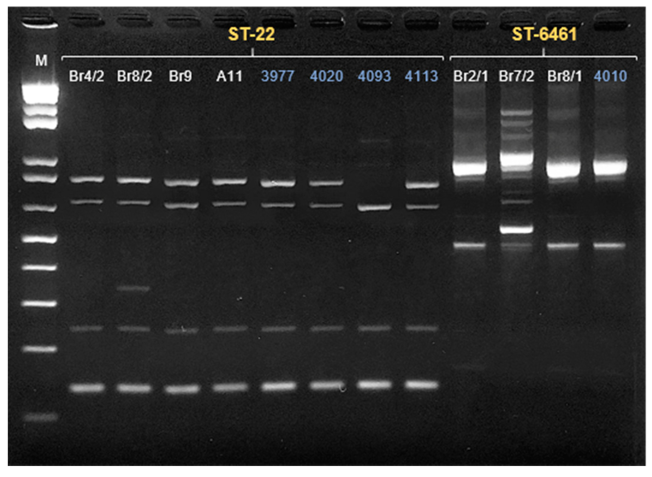 Microorganisms 09 02231 g002 Microorganisms 09 02231 g002