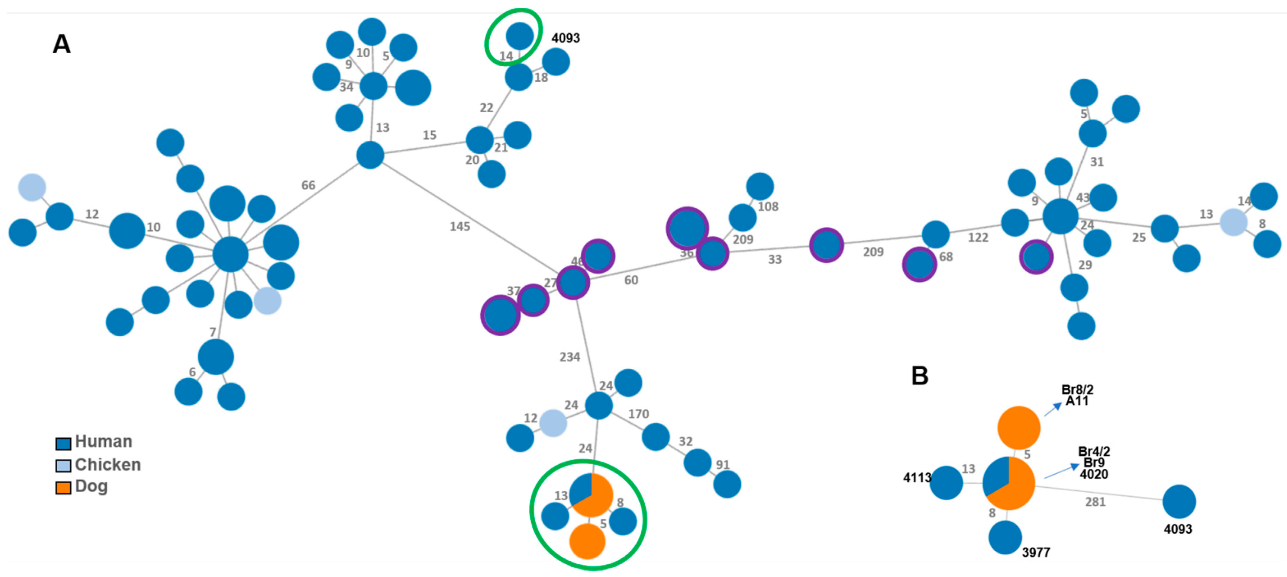 Microorganisms 09 02231 g004 Microorganisms 09 02231 g004