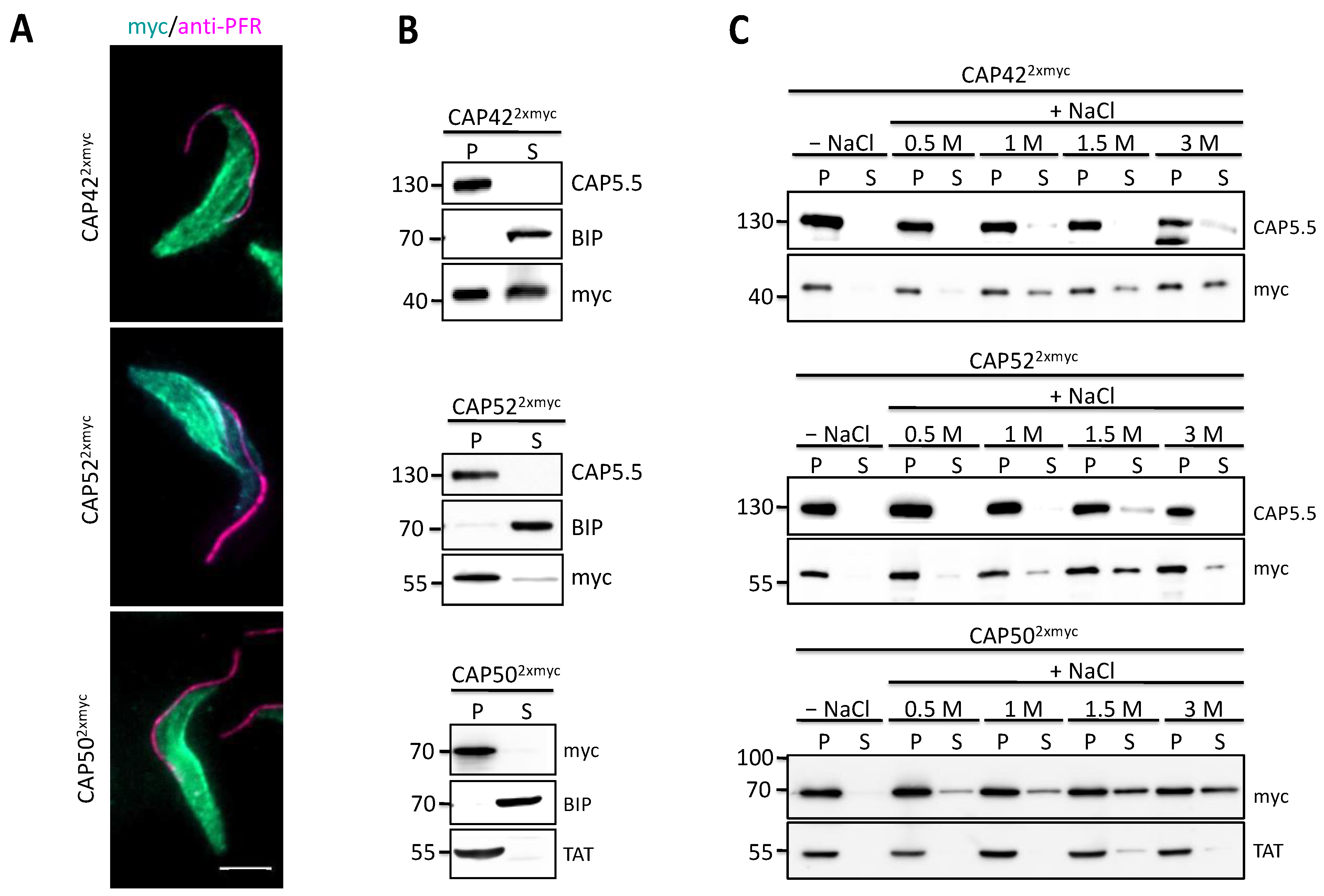 Microorganisms 09 02234 g002 Microorganisms 09 02234 g002