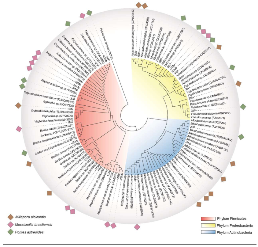 Microorganisms 09 02235 g004