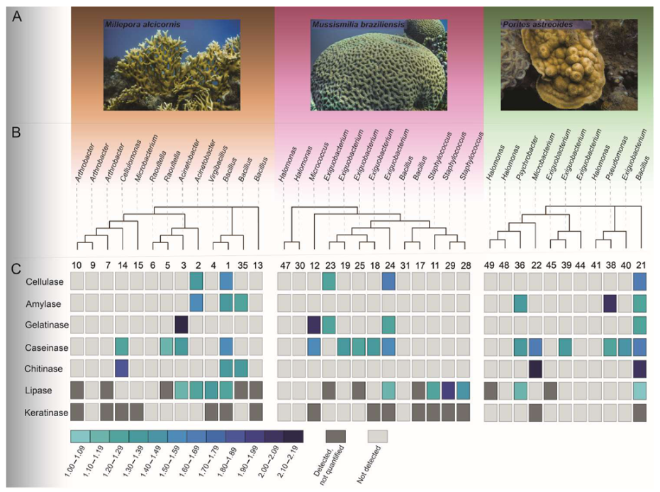 Microorganisms 09 02235 g005
