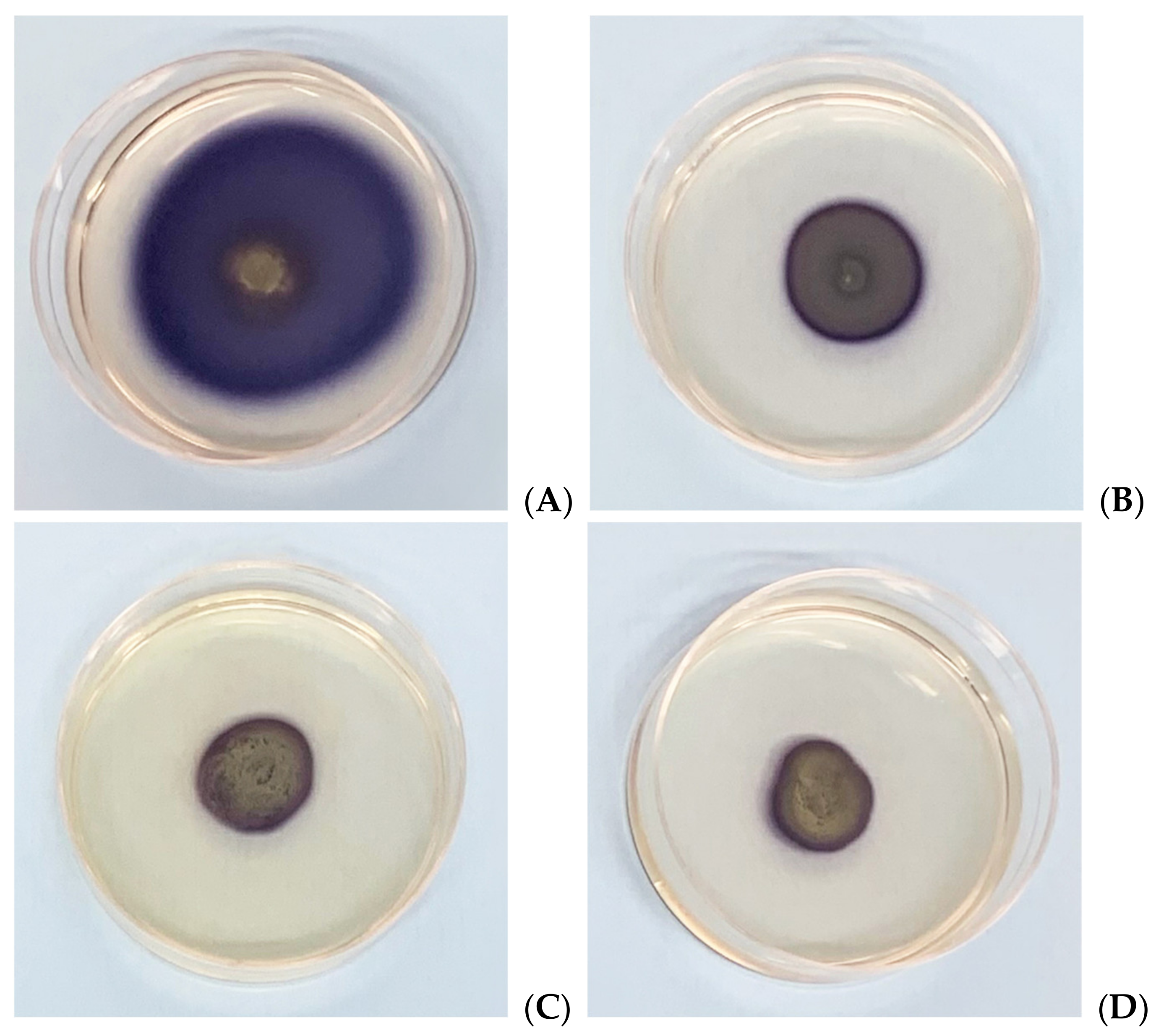 Microorganisms 09 02244 g003 550