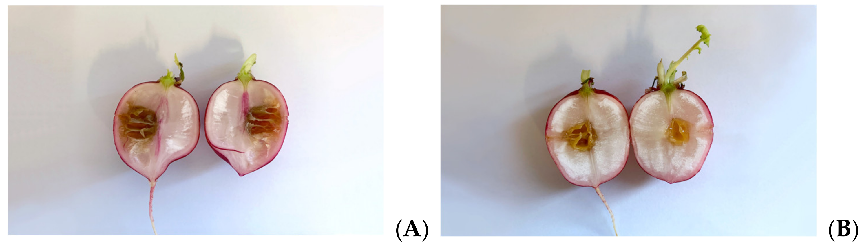 Microorganisms 09 02244 g005a 550
