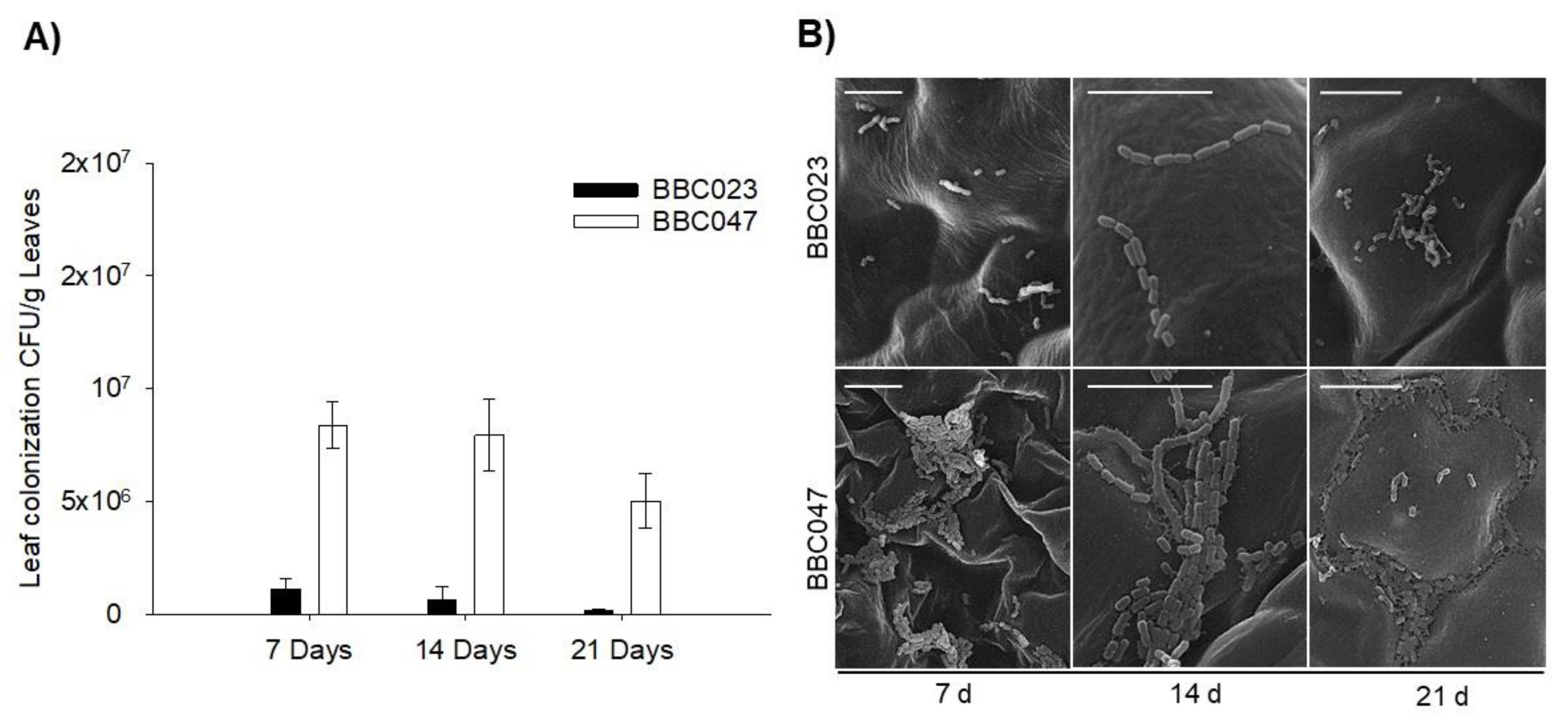 Microorganisms 09 02251 g006 Microorganisms 09 02251 g006