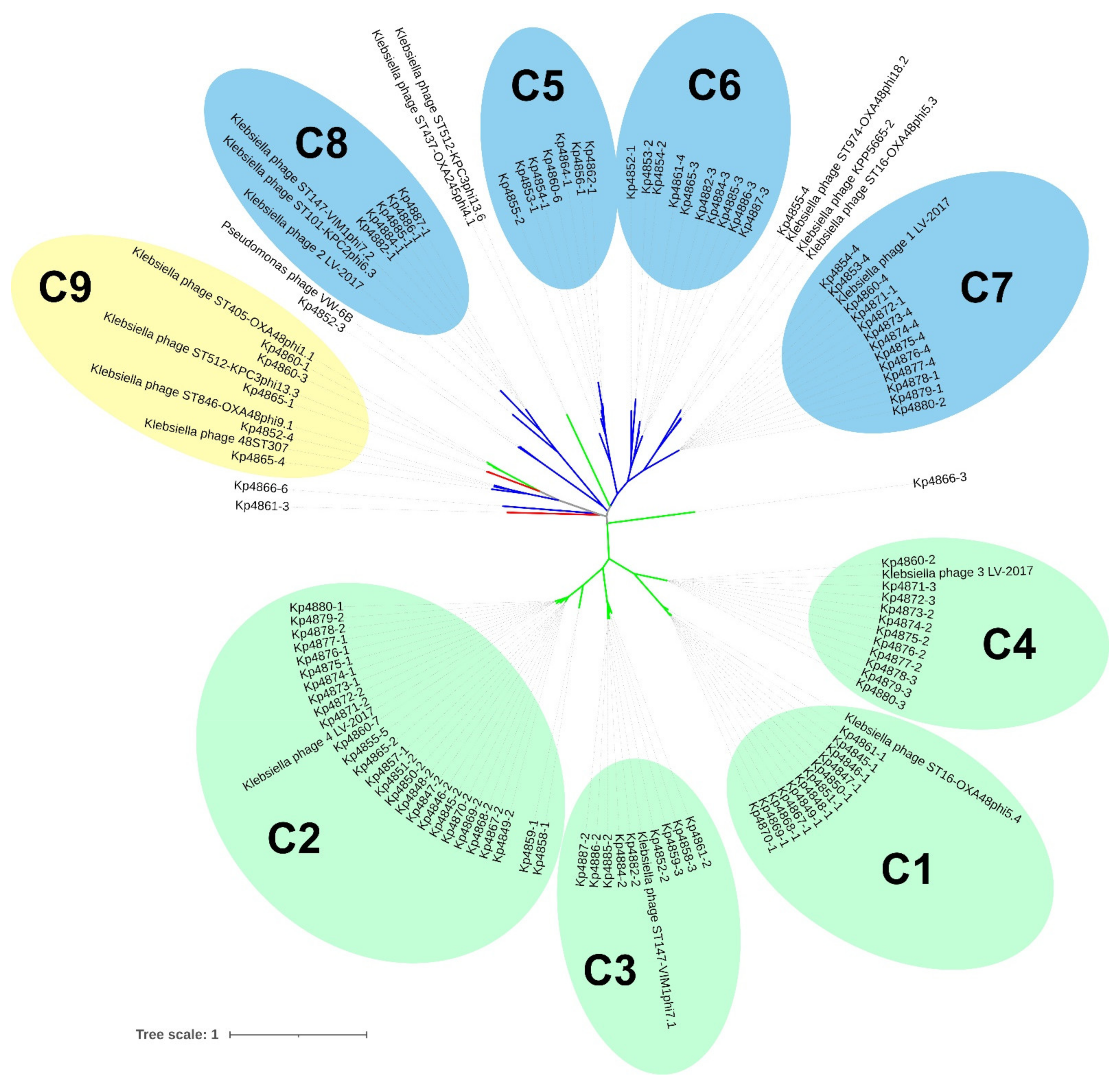 Microorganisms 09 02252 g004