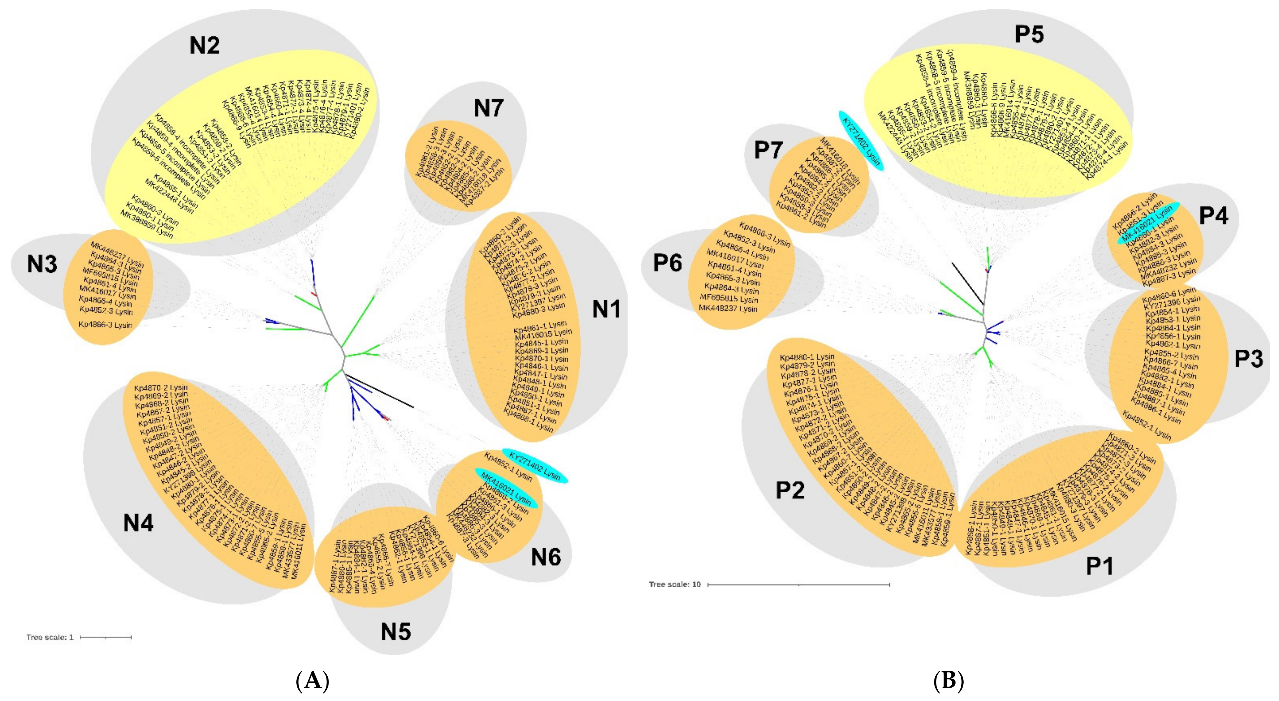 Microorganisms 09 02252 g005