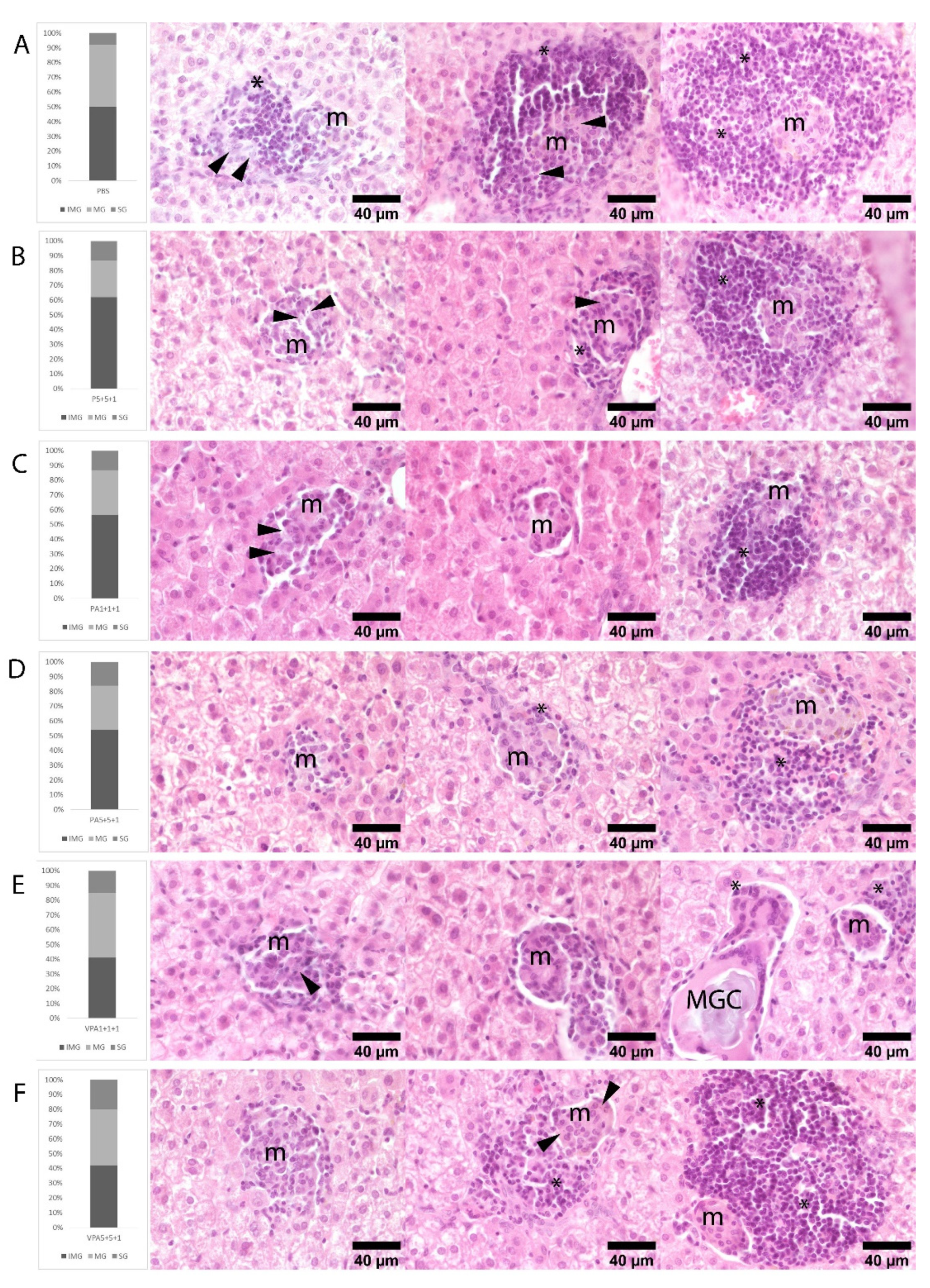 Microorganisms 09 02253 g005 Microorganisms 09 02253 g005