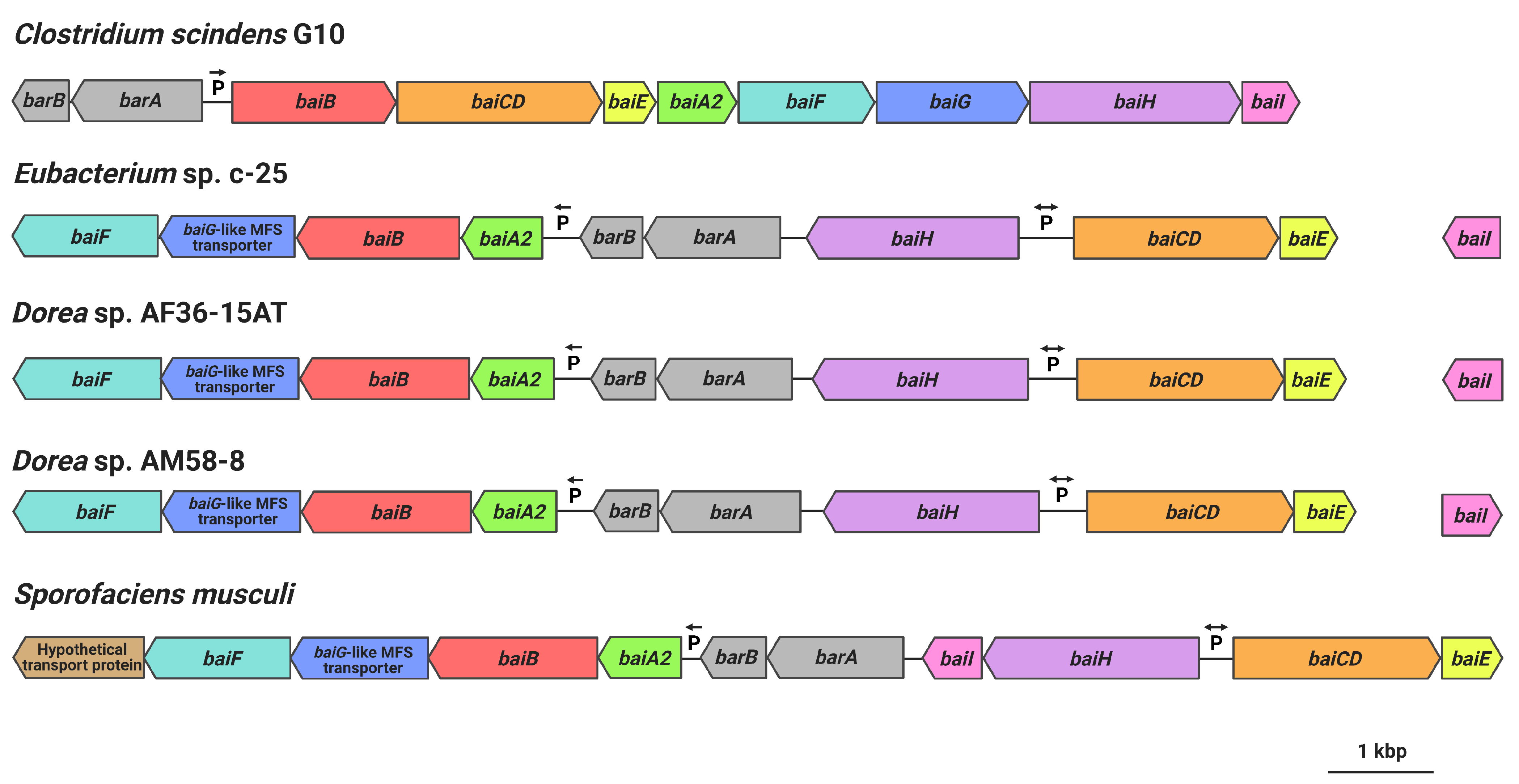 Microorganisms 09 02254 g007