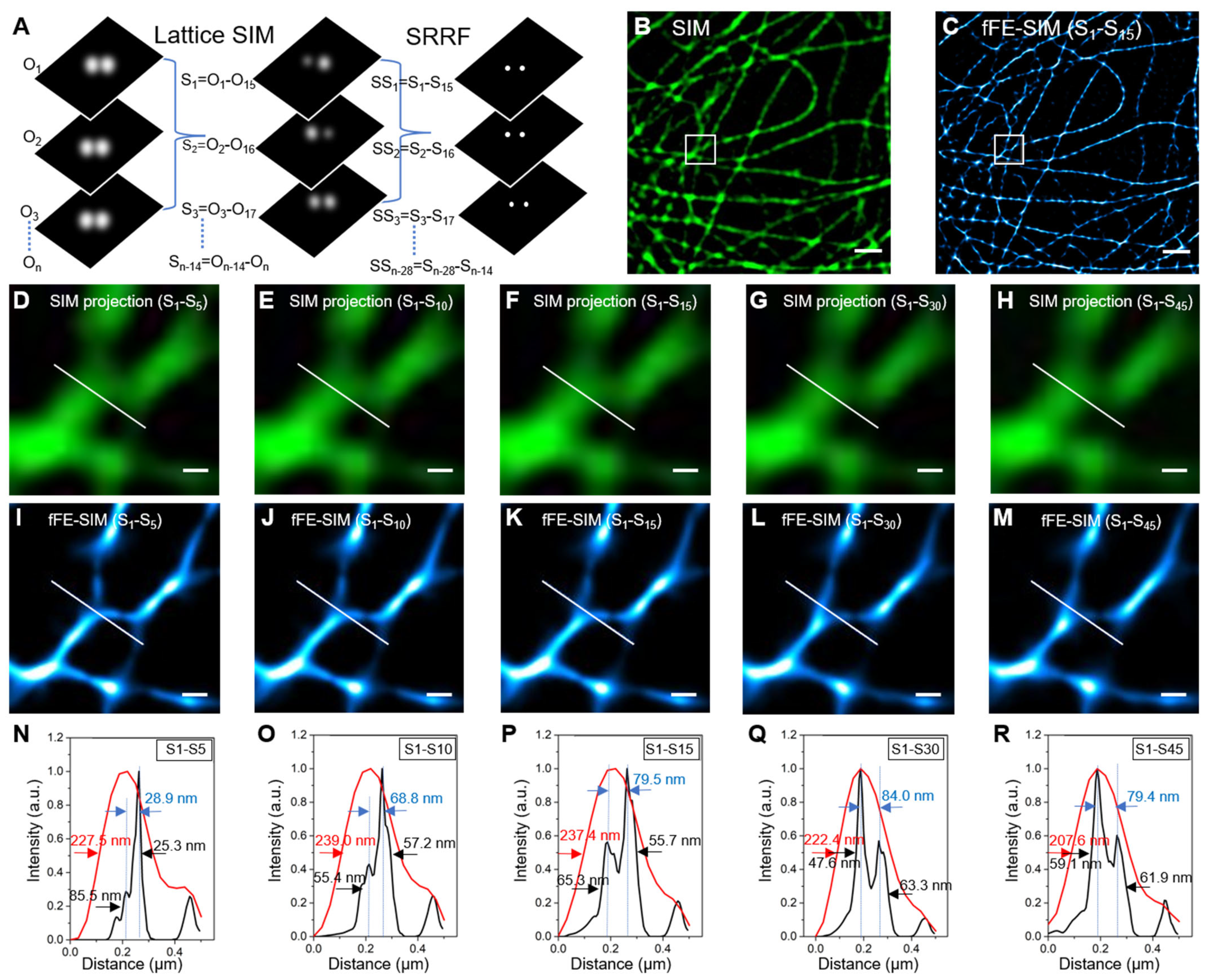 Microorganisms 09 02255 g001 Microorganisms 09 02255 g001