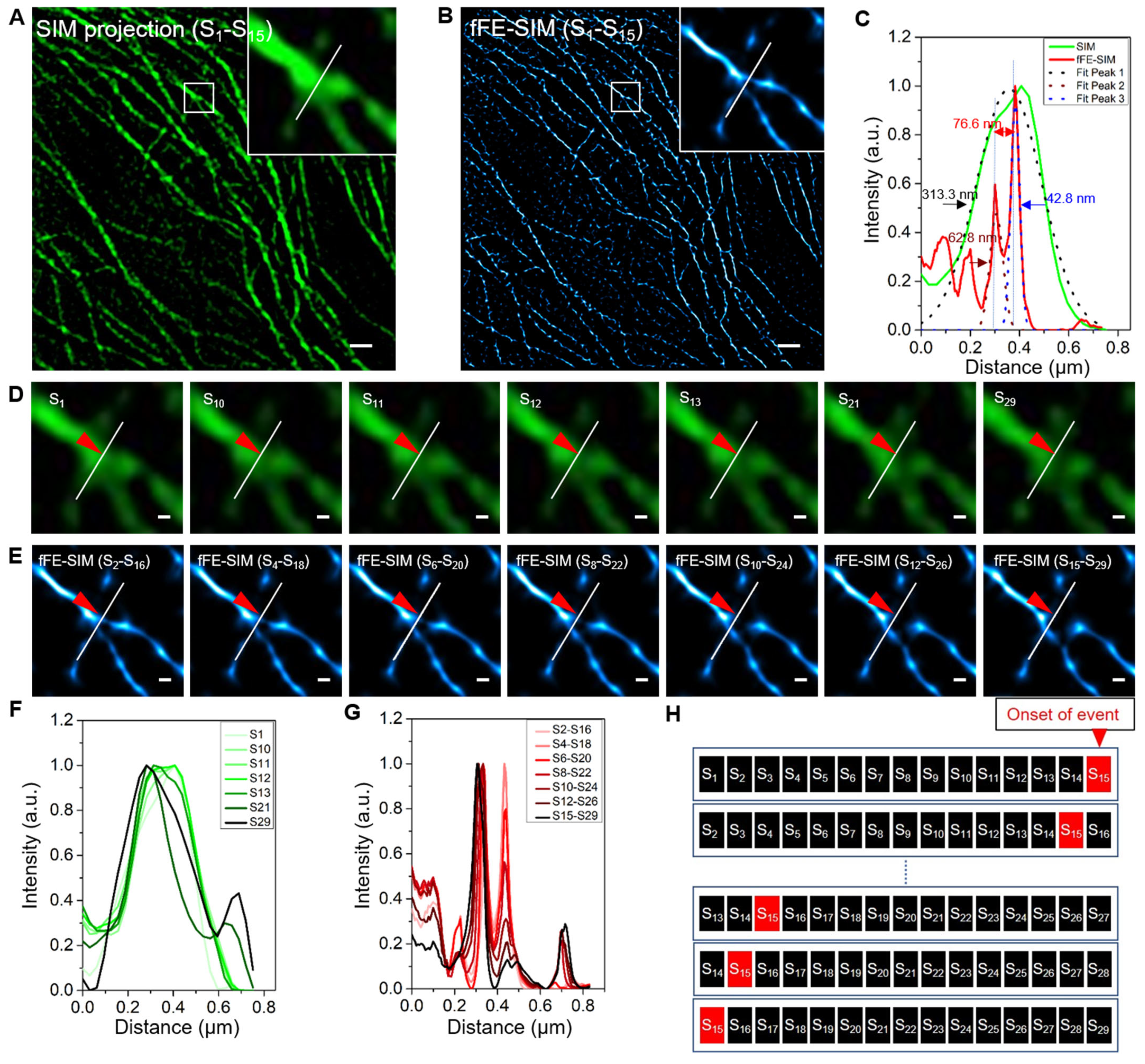 Microorganisms 09 02255 g002 Microorganisms 09 02255 g002