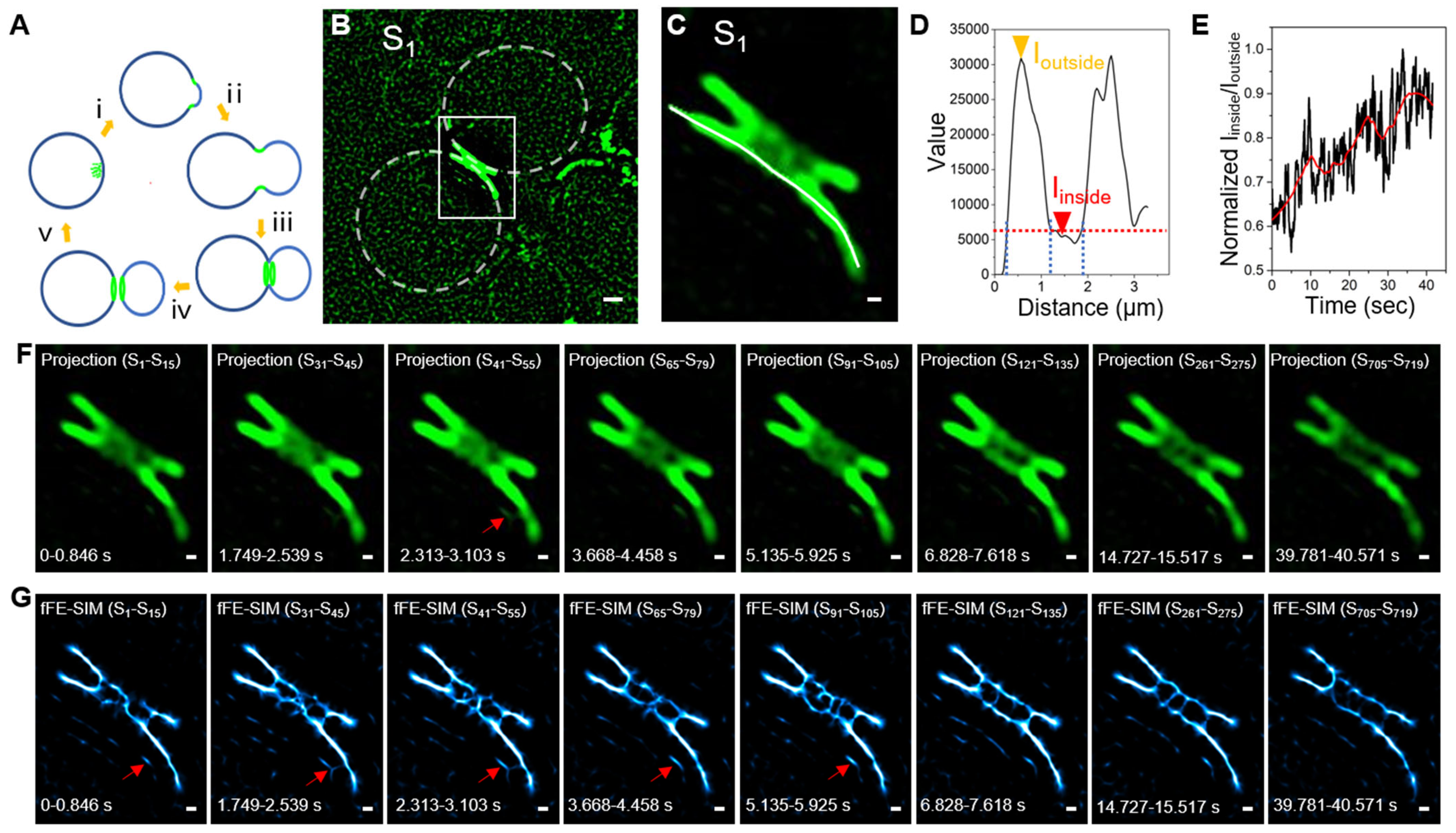 Microorganisms 09 02255 g003 Microorganisms 09 02255 g003