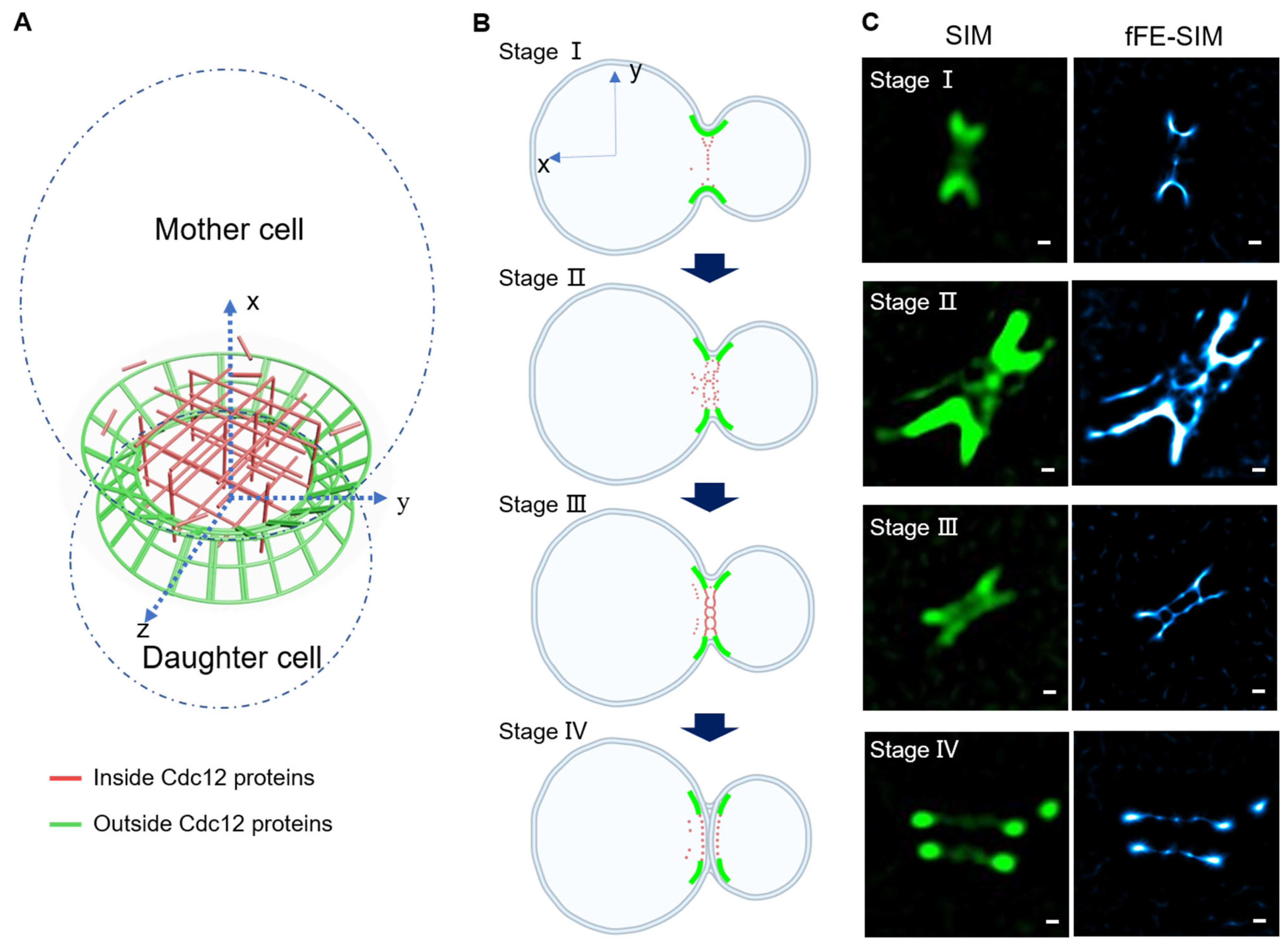 Microorganisms 09 02255 g004 Microorganisms 09 02255 g004
