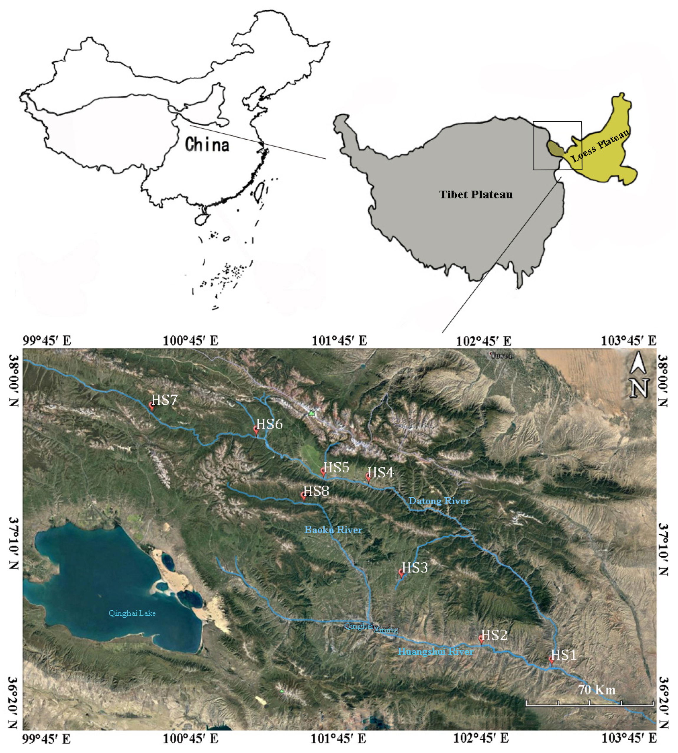 Microorganisms 09 02260 g001