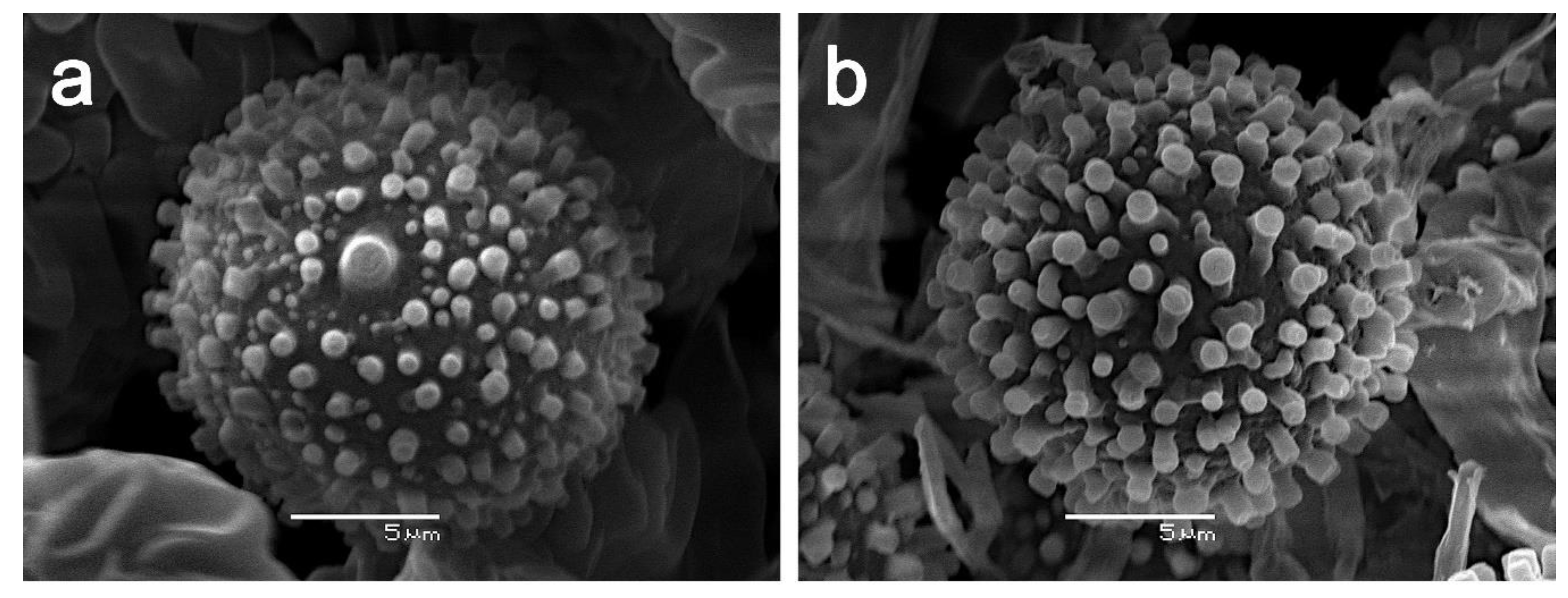 Microorganisms 09 02261 g008a
